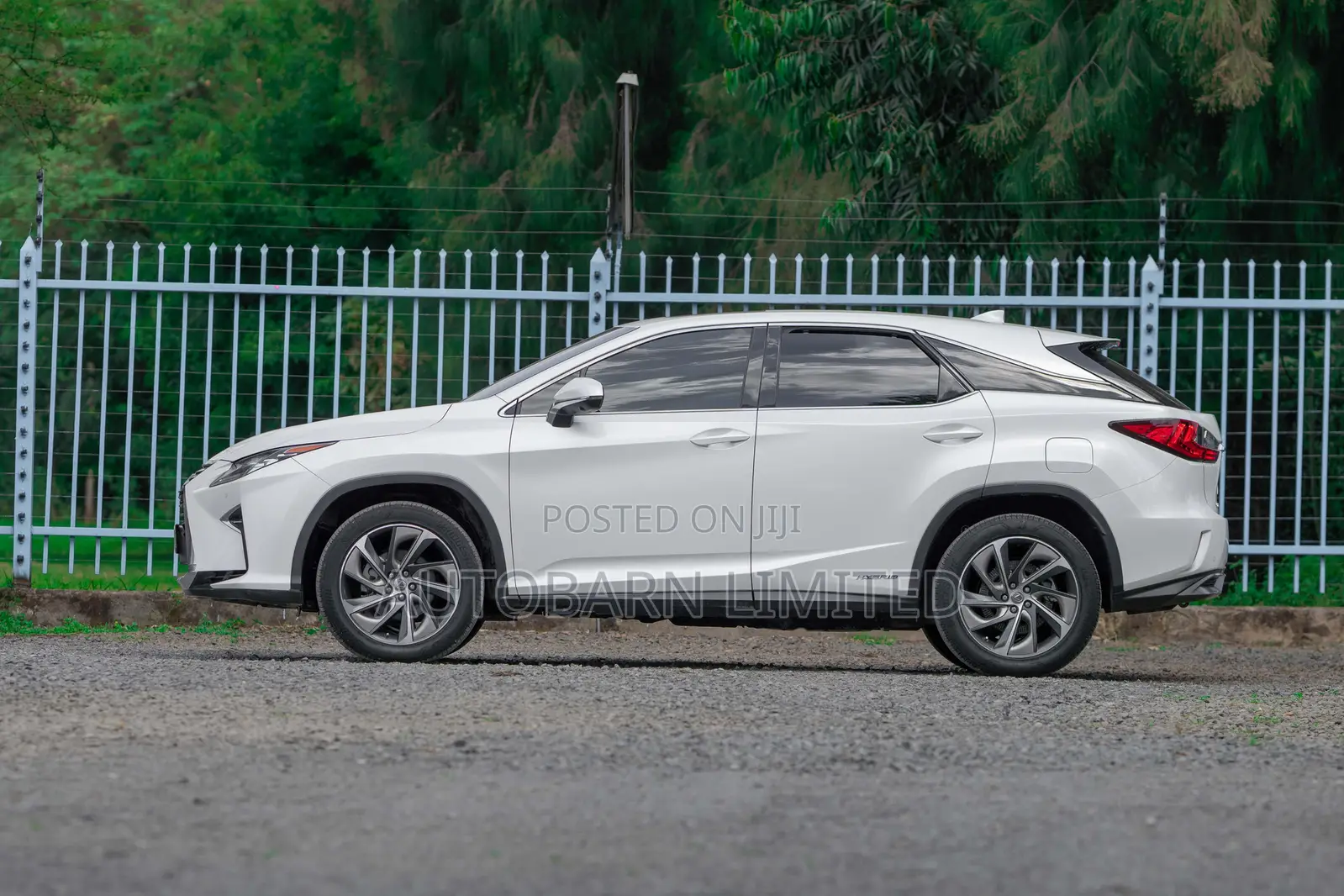 Lexus RX 2016 White