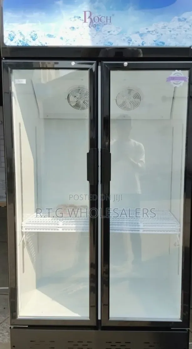 505 LITRES Roch Vertical Showcase Model RSF-680-O (SIDE BY Side