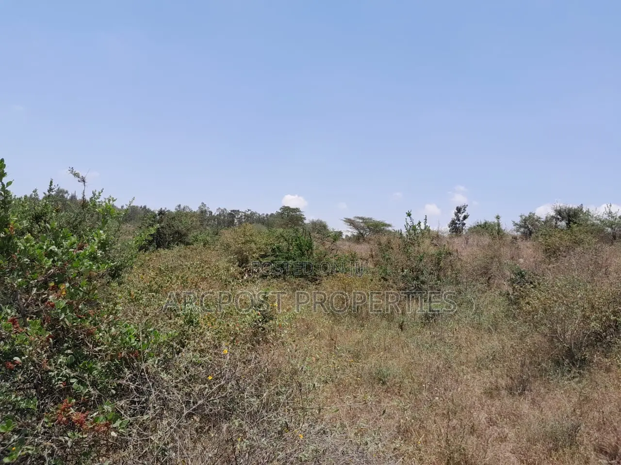 15 Acres for Sale Near Masai Lodge – Bordering Nairobi National Park