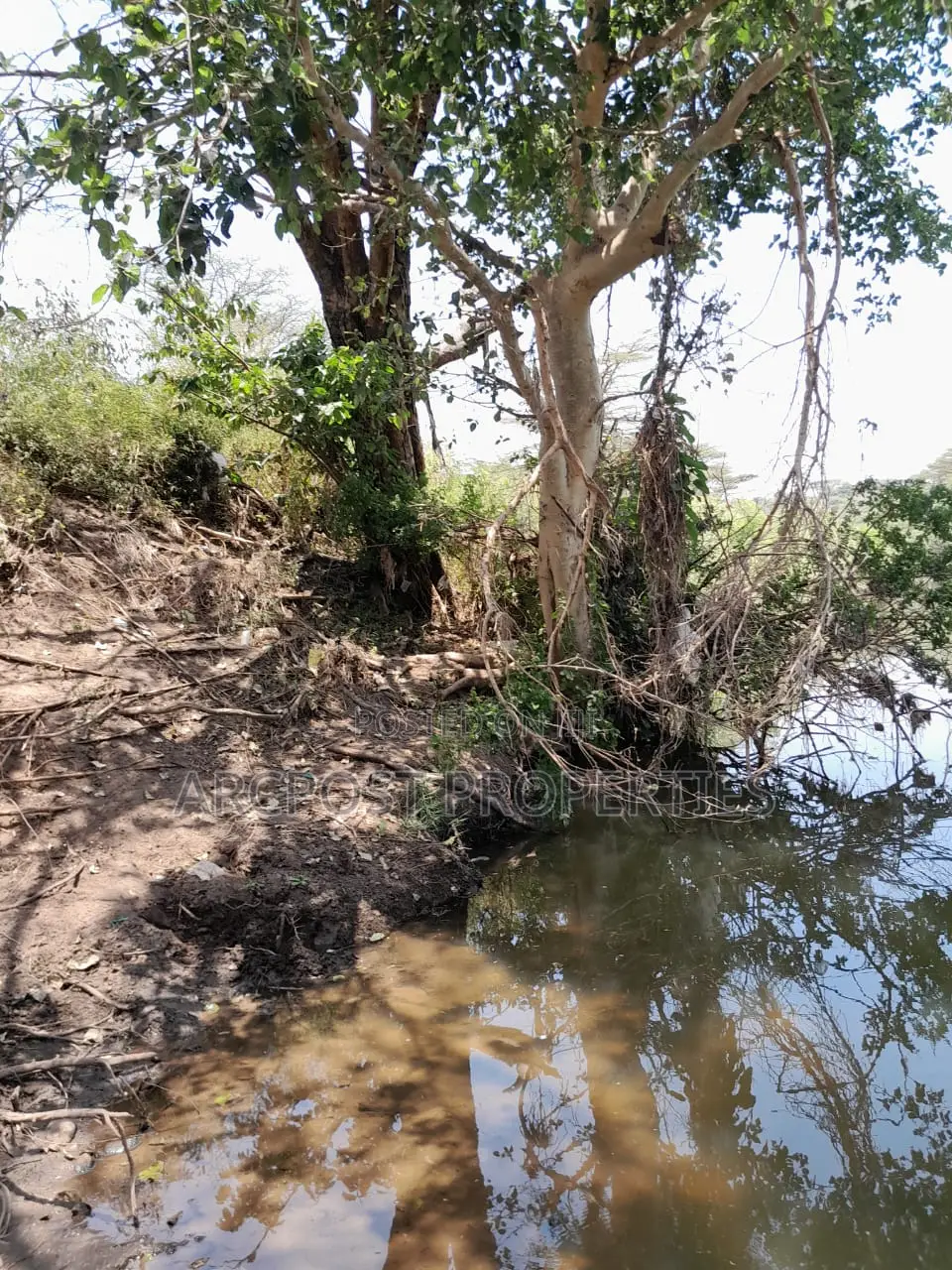 15 Acres for Sale Near Masai Lodge – Bordering Nairobi National Park