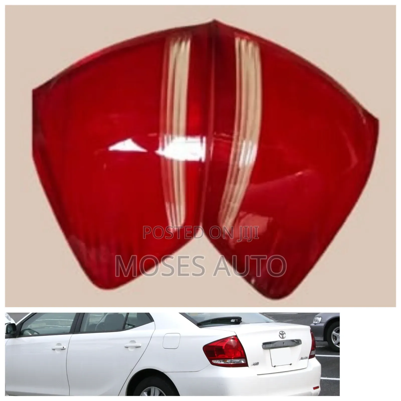 Allion 240 Back Lights/Backlight/Taillight/Tail Lights Lens