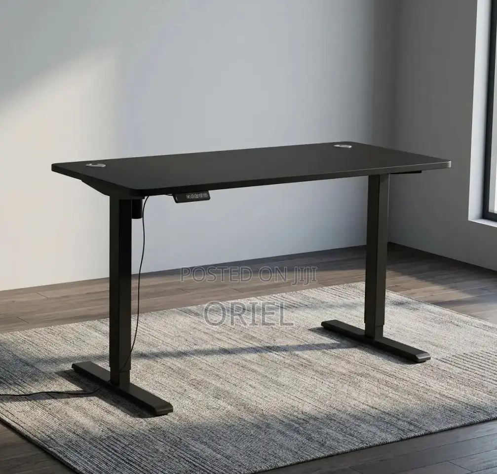 Office Computer Desk : Black Adjustable Electric Desk