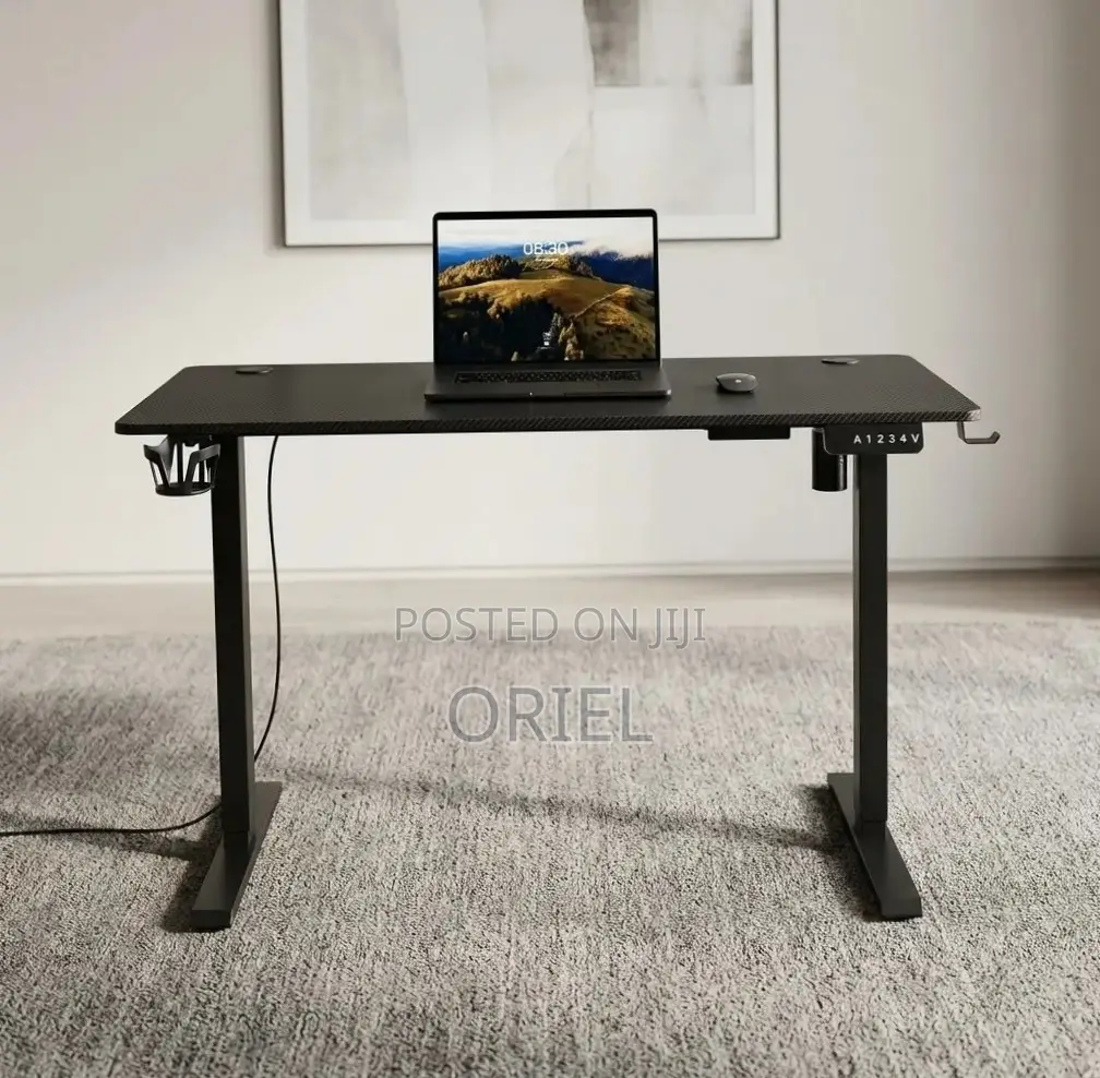 Office Computer Desk : Black Adjustable Electric Desk