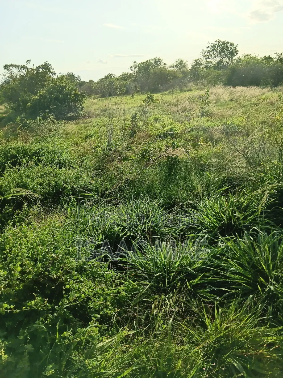 2 Acres for Sale With Ready Tittle Deed Per Acre