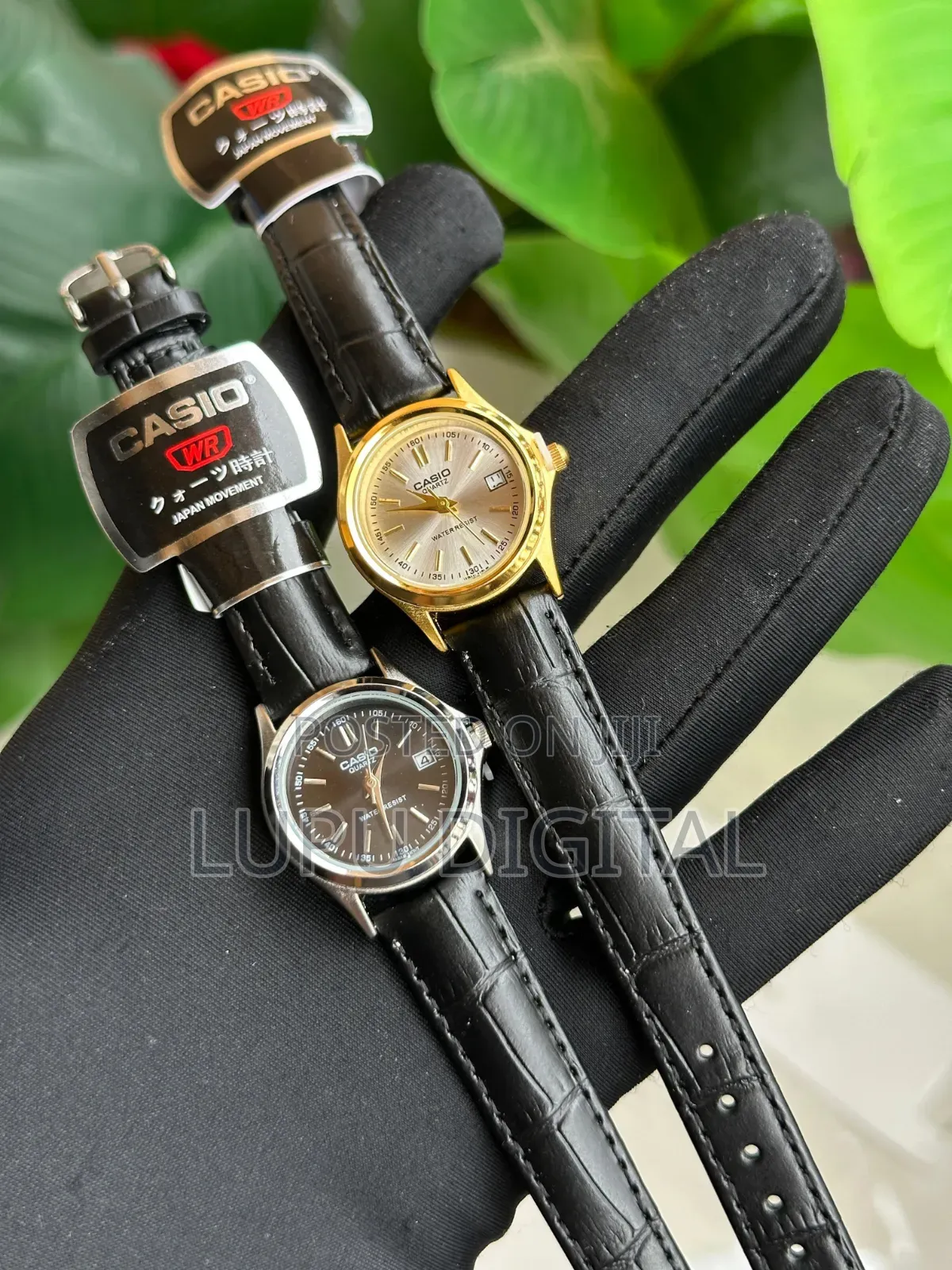 Casio Ladies Watch
