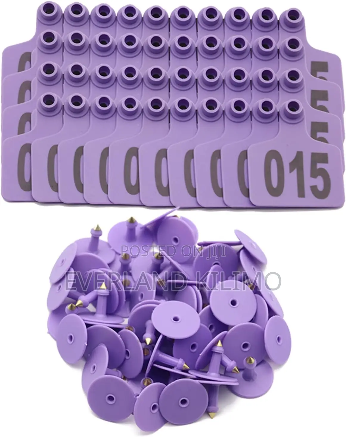 Short Tags for Individual Animal Records in Sheeps - Numbered