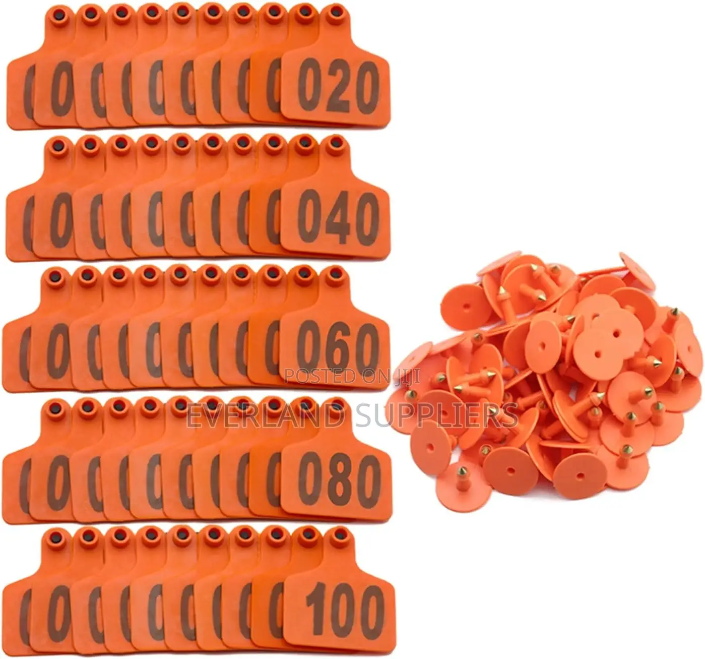 Herd Management Tags Numbered Cattle Large Ear Tag