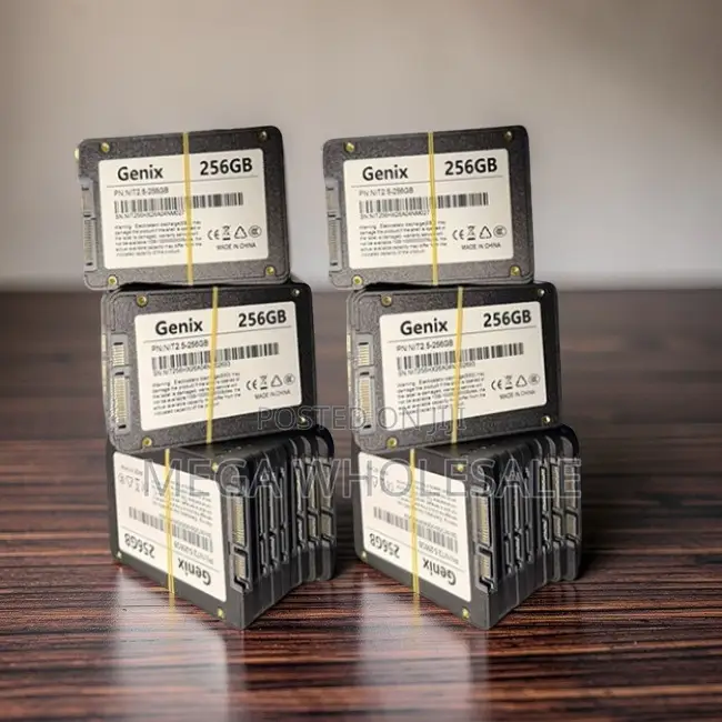Secure Storage 2.5 Inch 128GB, 256GB, 512GB SSD Hard Disks