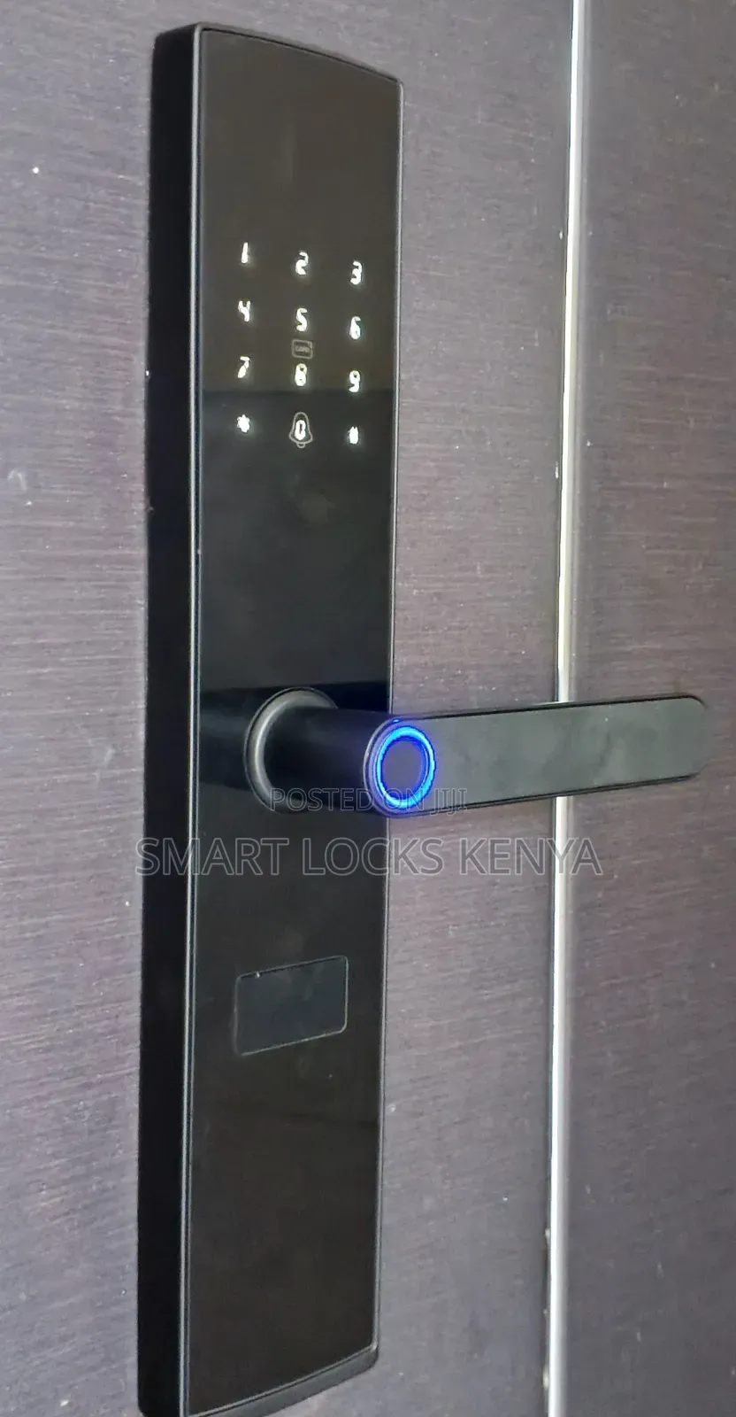 Tuya Biometric Fingerprint Door Lock Smart Living