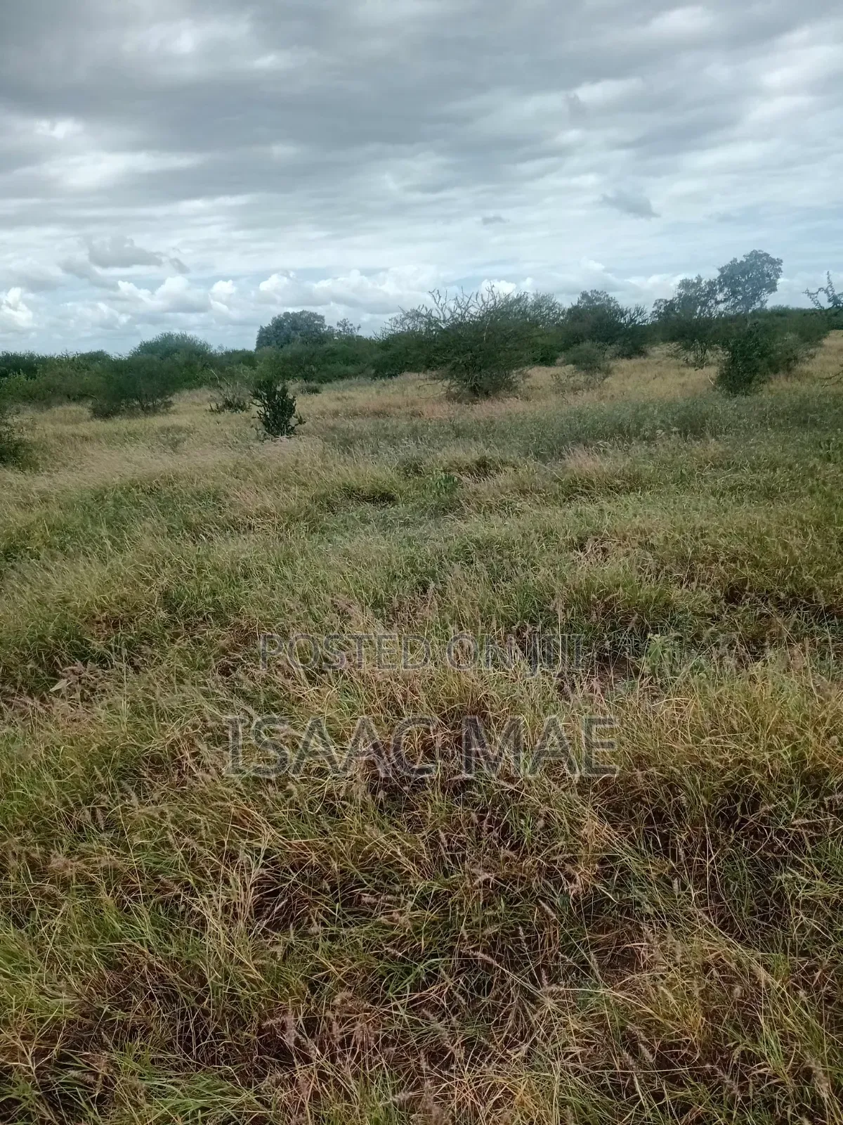 9 Acres for Sale With Ready Tittle Deed at Baolala Weru
