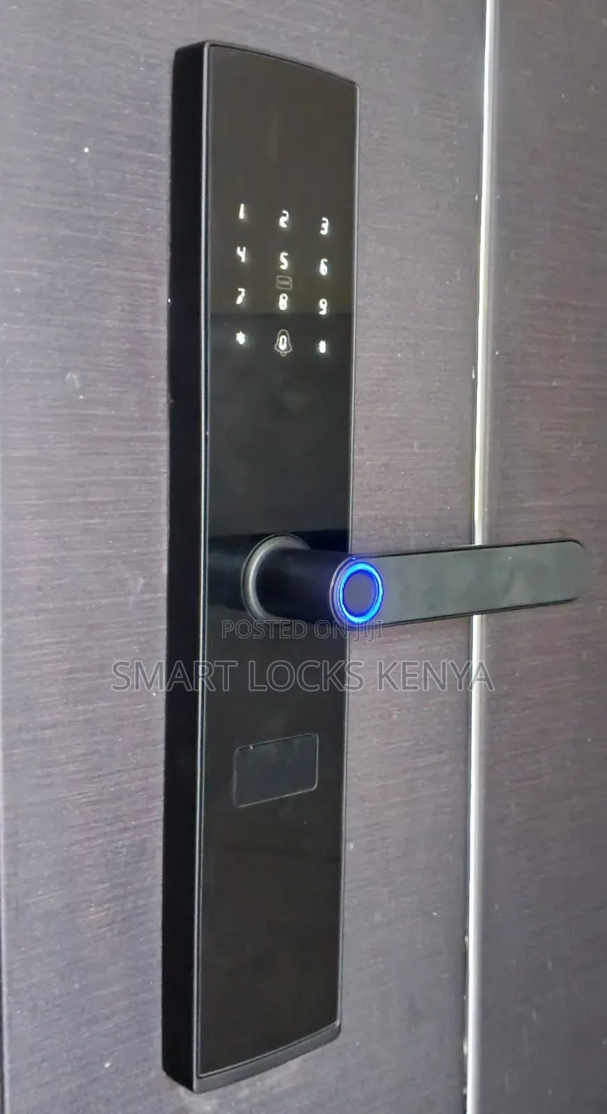 Locks Kenya Hot New Product TUYA Smart Door Lock Smart Lock
