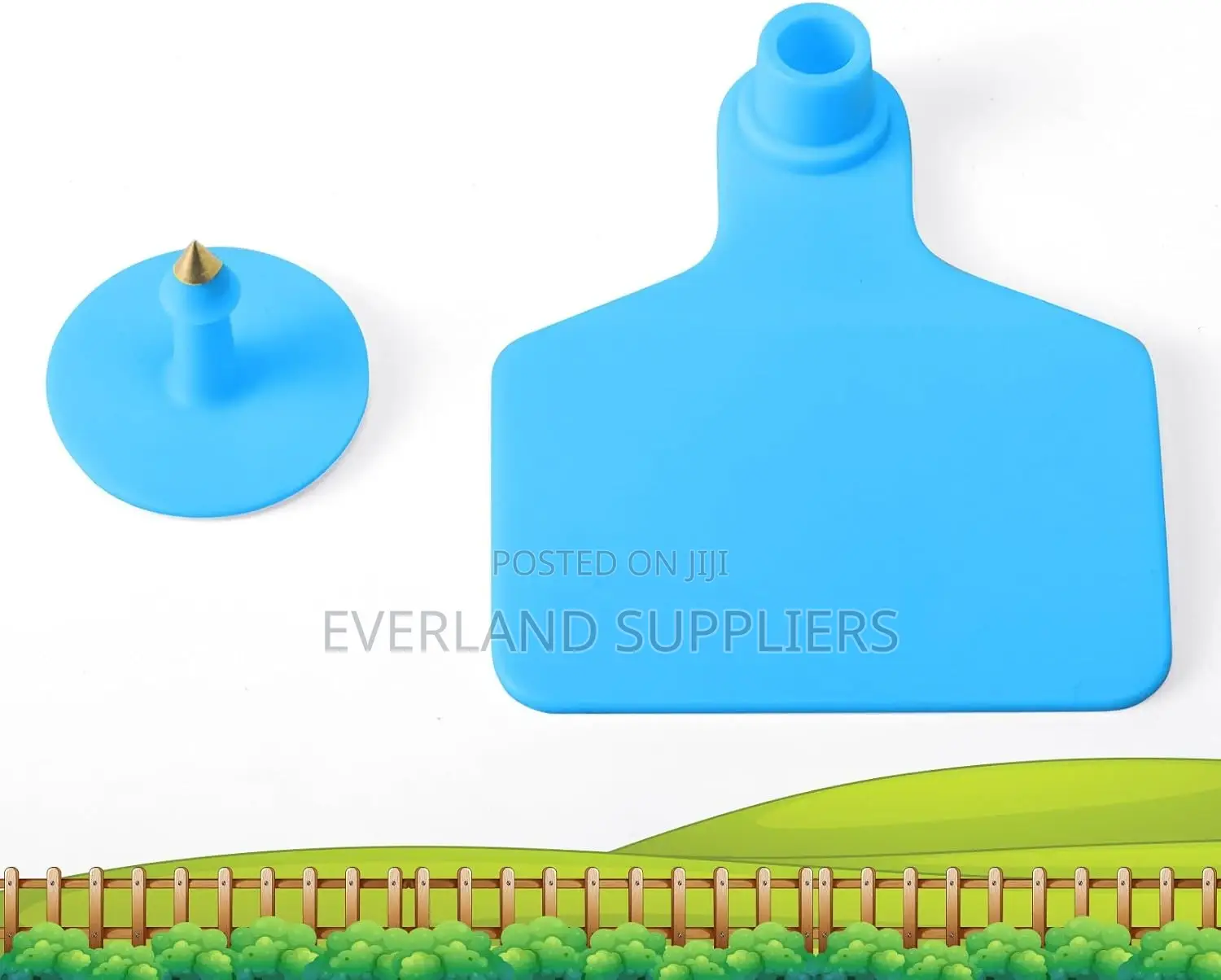 Medium Cows Tags for Digital Record Linking - plIn White