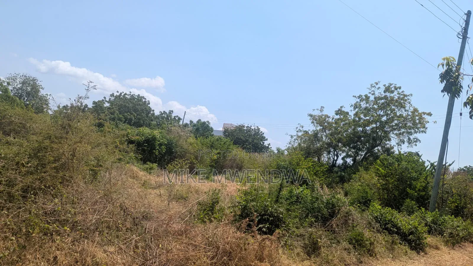 Land and Plots