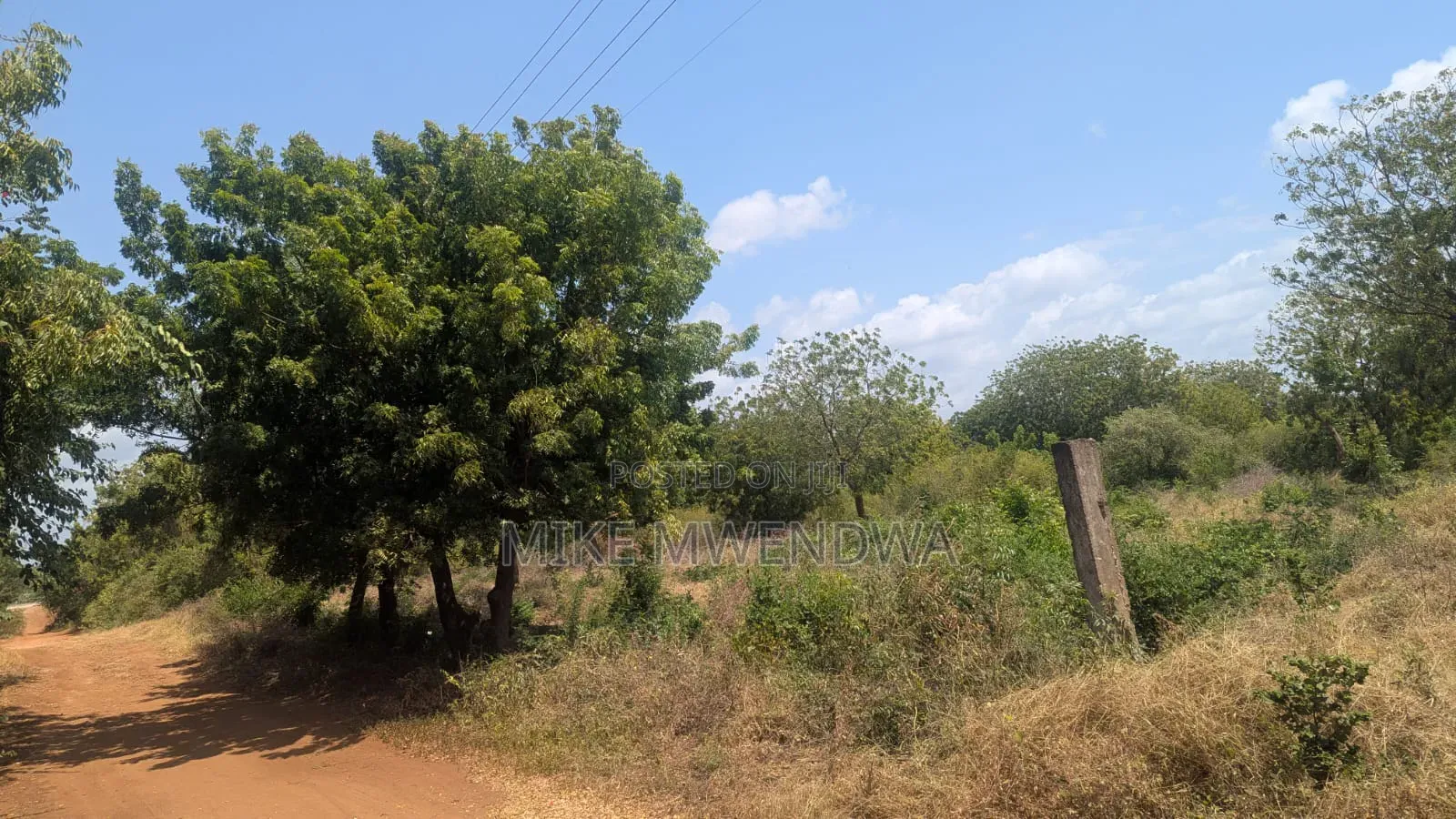 Land and Plots