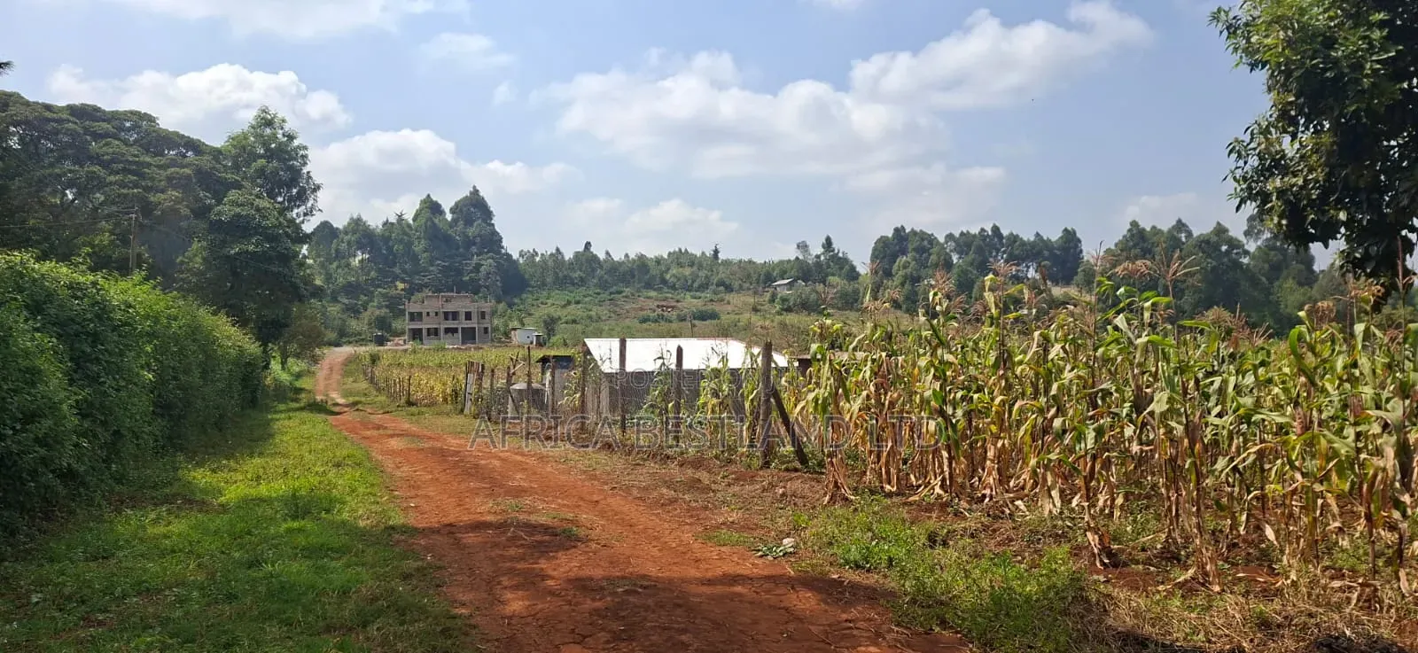 50×100 Plot for Sale – Kikuyu Migumoini |