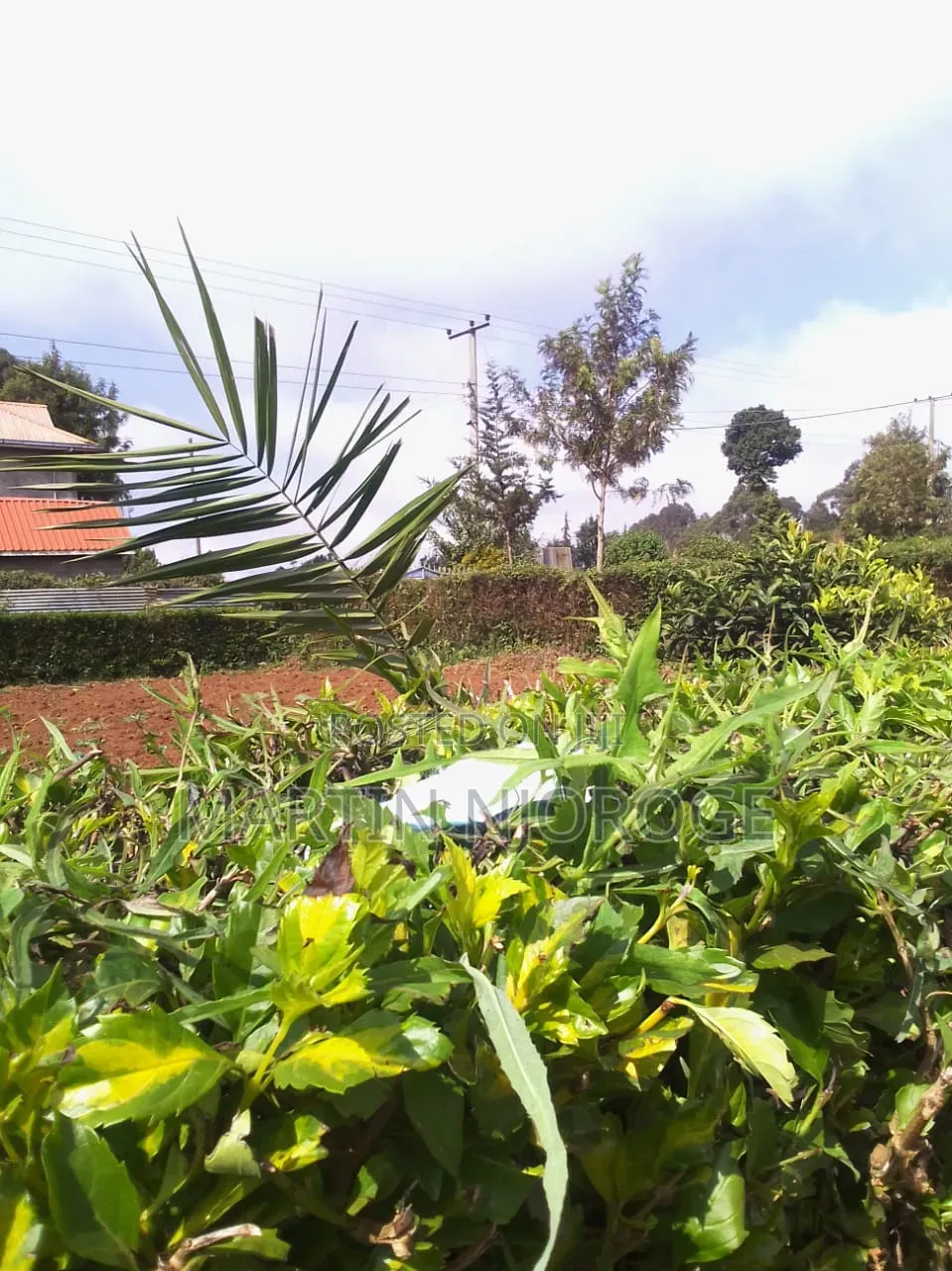 1⁄4 Acre Plot Makutano