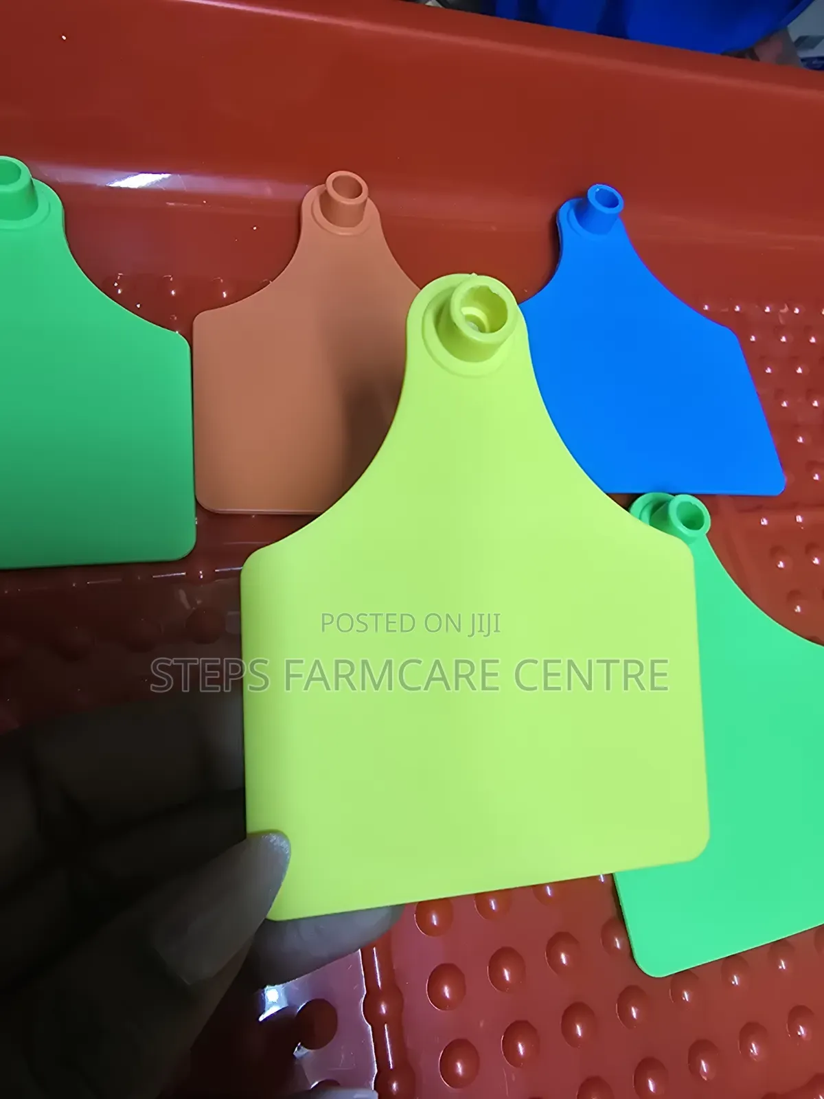 Plain Cow Ear Tags