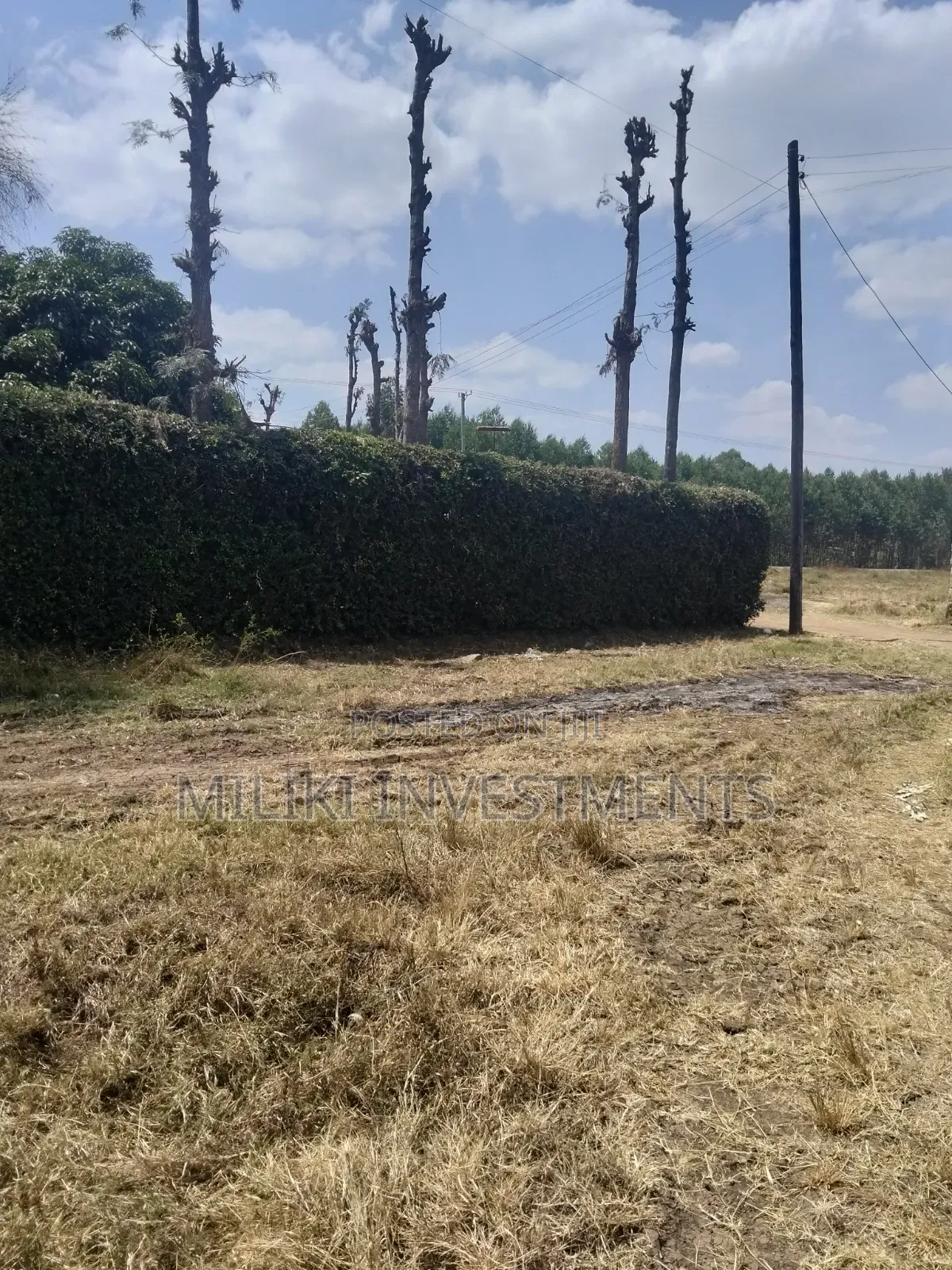 1.25 Acres Land on Sale at Kenol-Kimorori