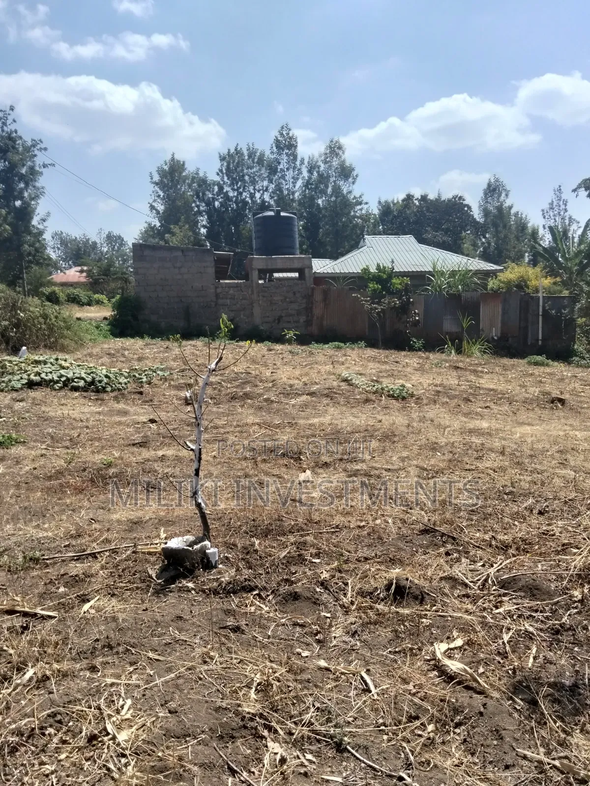 1.25 Acres Land on Sale at Kenol-Kimorori