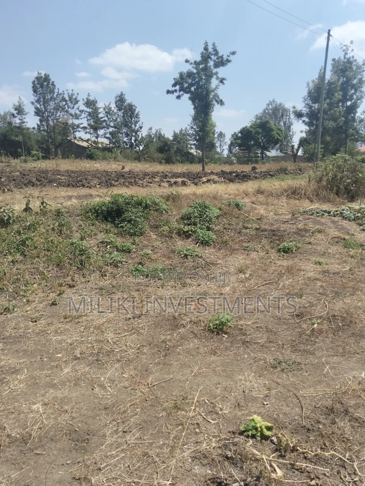 1.25 Acres Land on Sale at Kenol-Kimorori