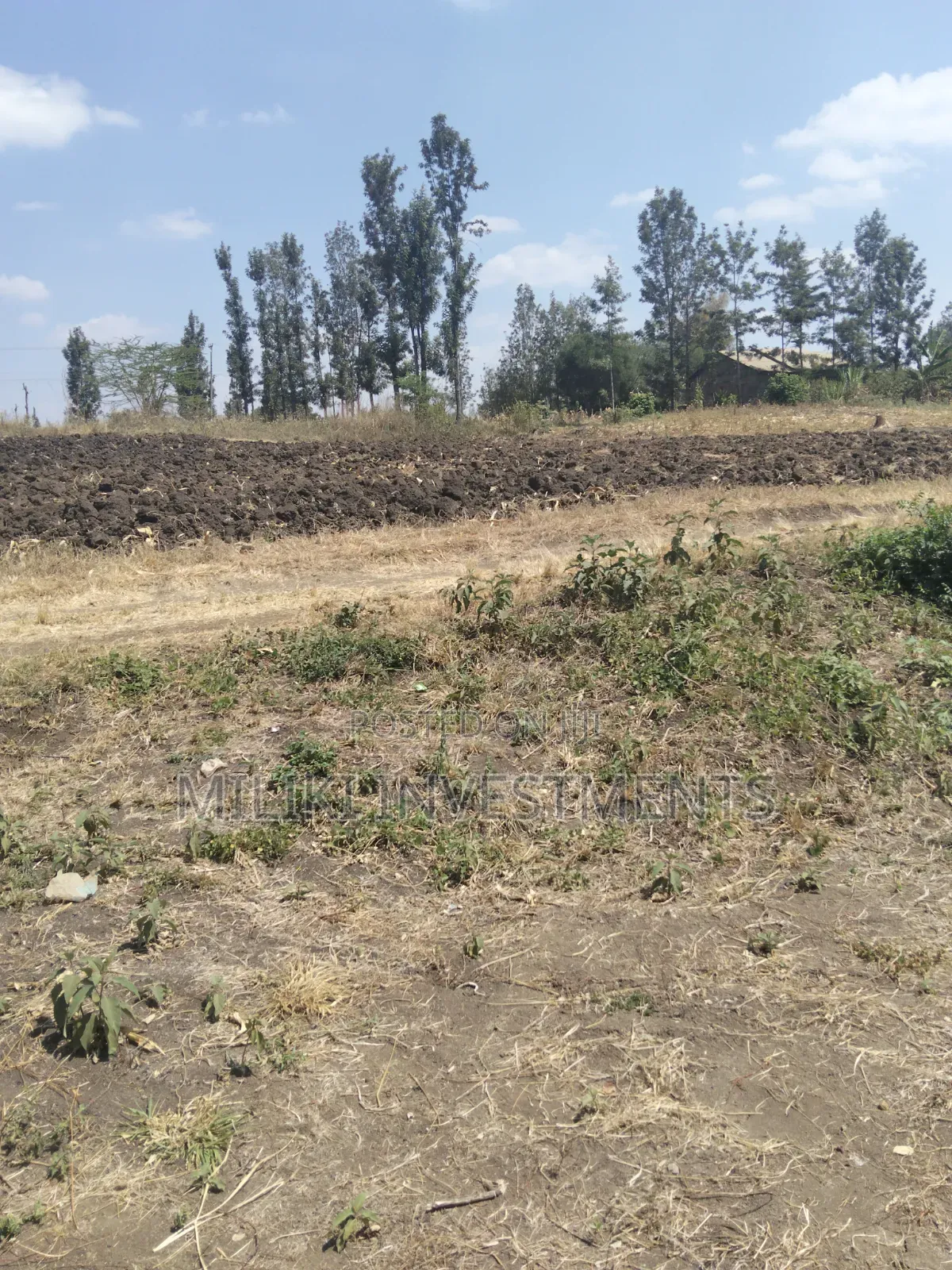 1.25 Acres Land on Sale at Kenol-Kimorori