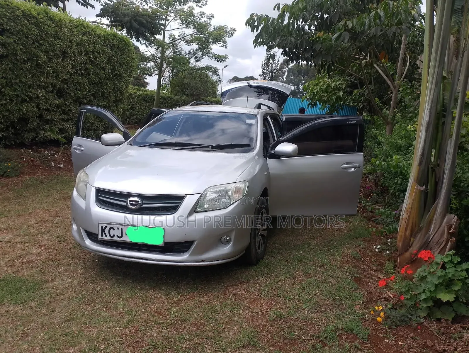 Toyota Corolla Fielder 2009 Silver