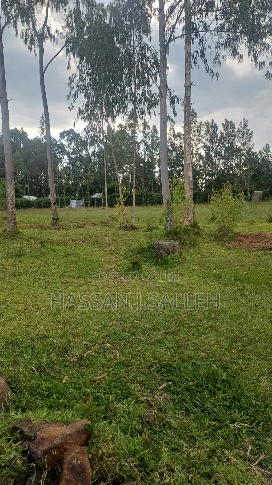 1 1/2acres Ekero .
