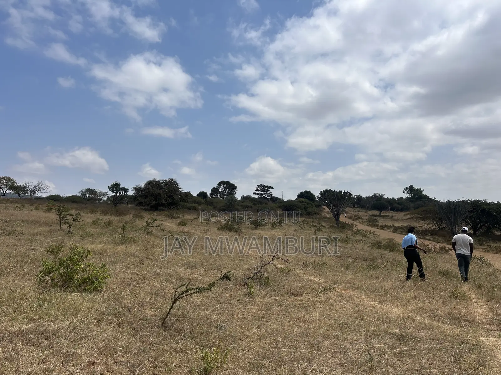 16 Acres Mua Hills
