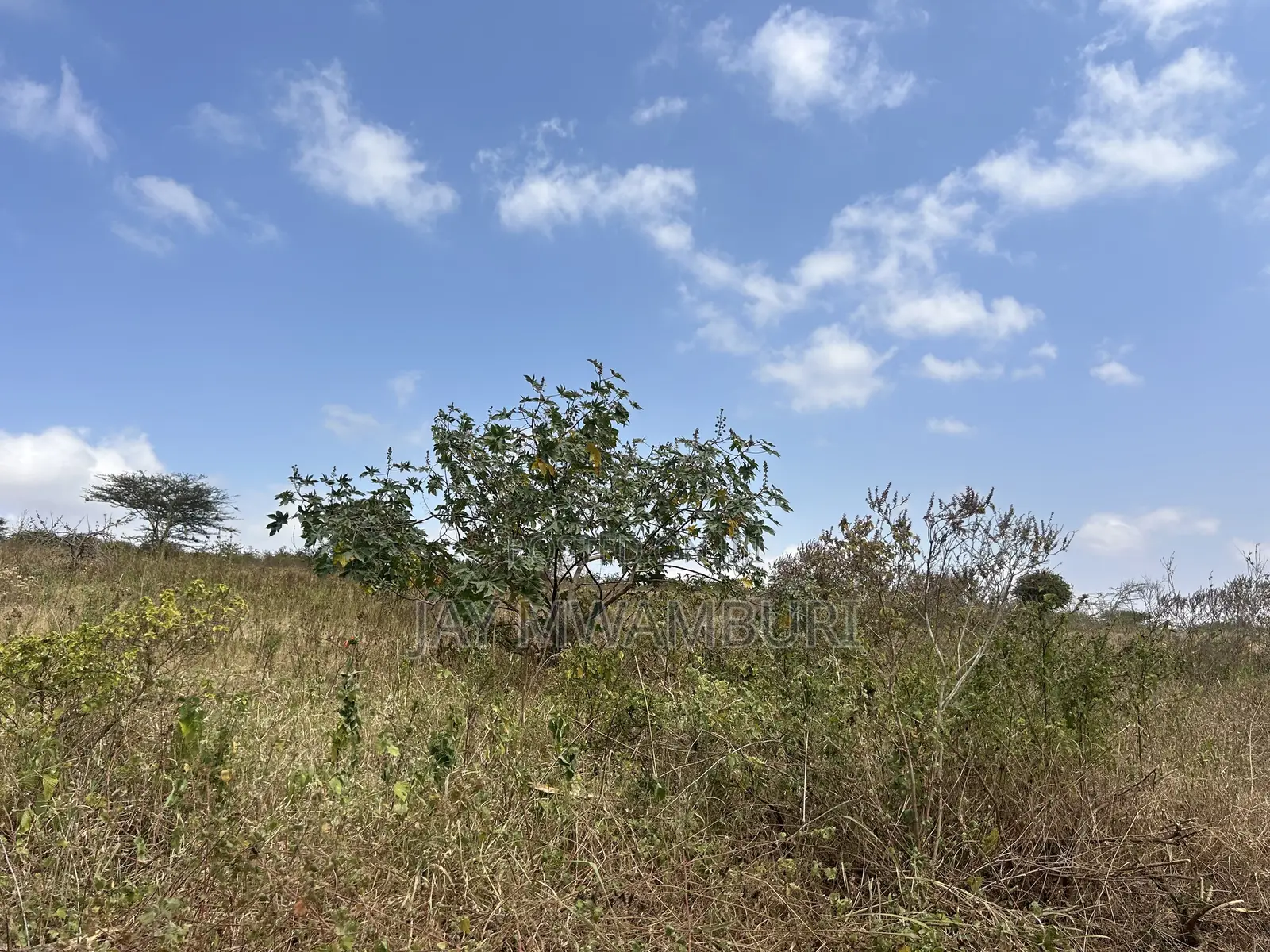 16 Acres Mua Hills