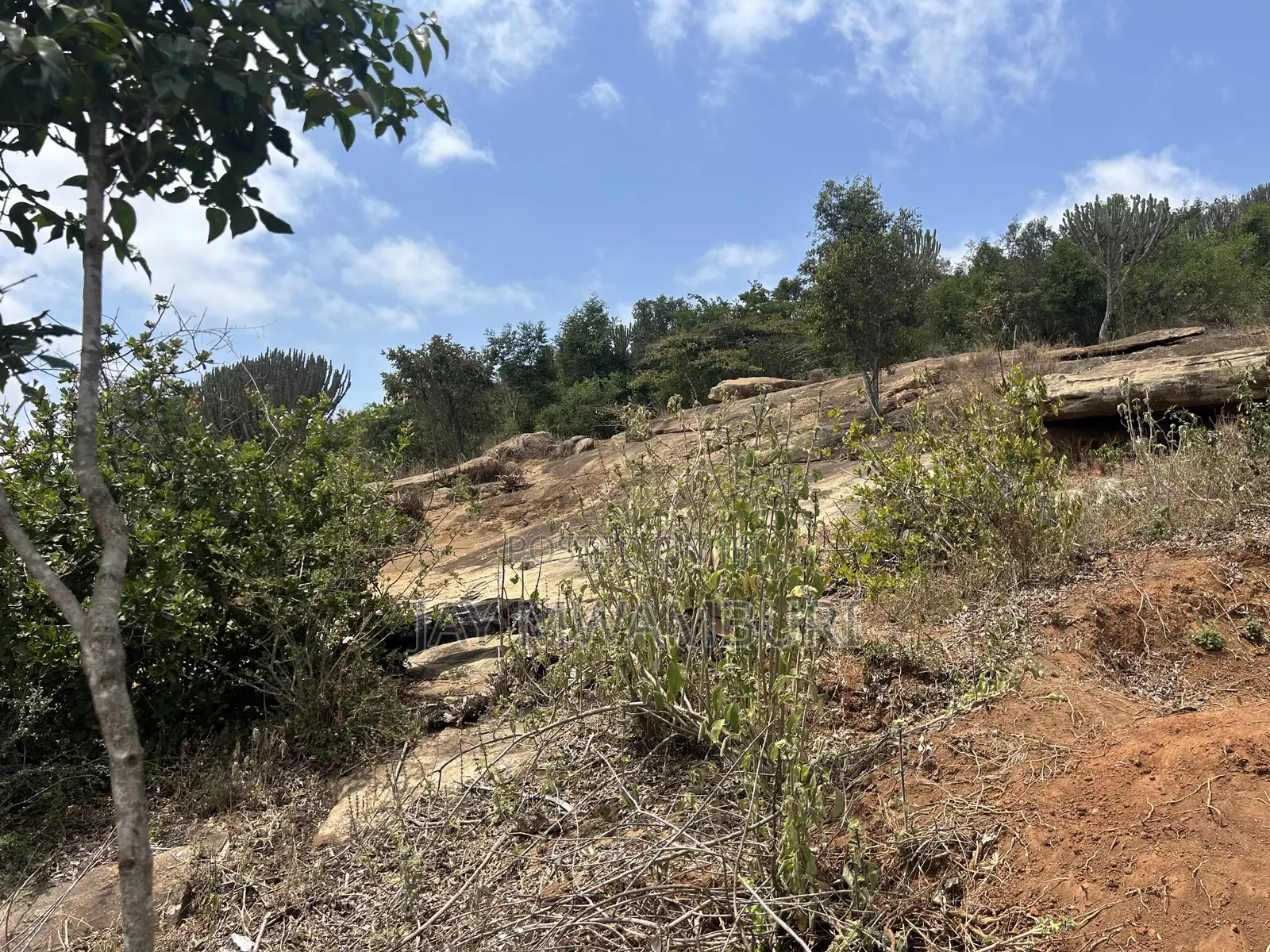 16 Acres Mua Hills