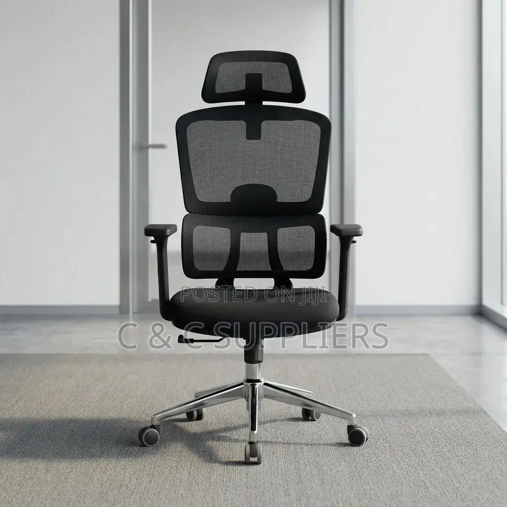 Ergonomic Posture Support Chair.