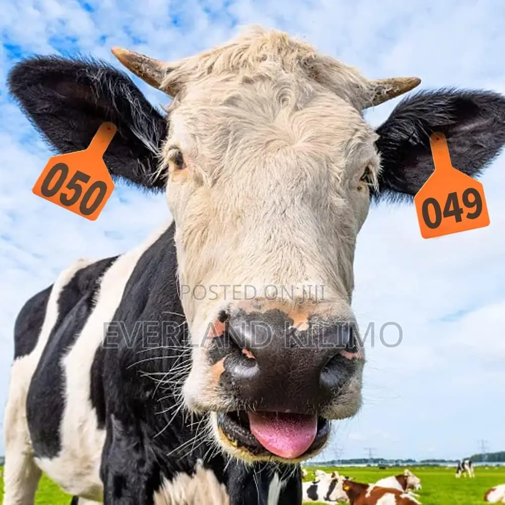 Beef Herd Z-Tag - Numbered
