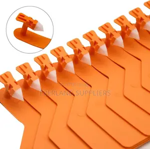 Pasture Group Z- Tag for Cattles - Plain