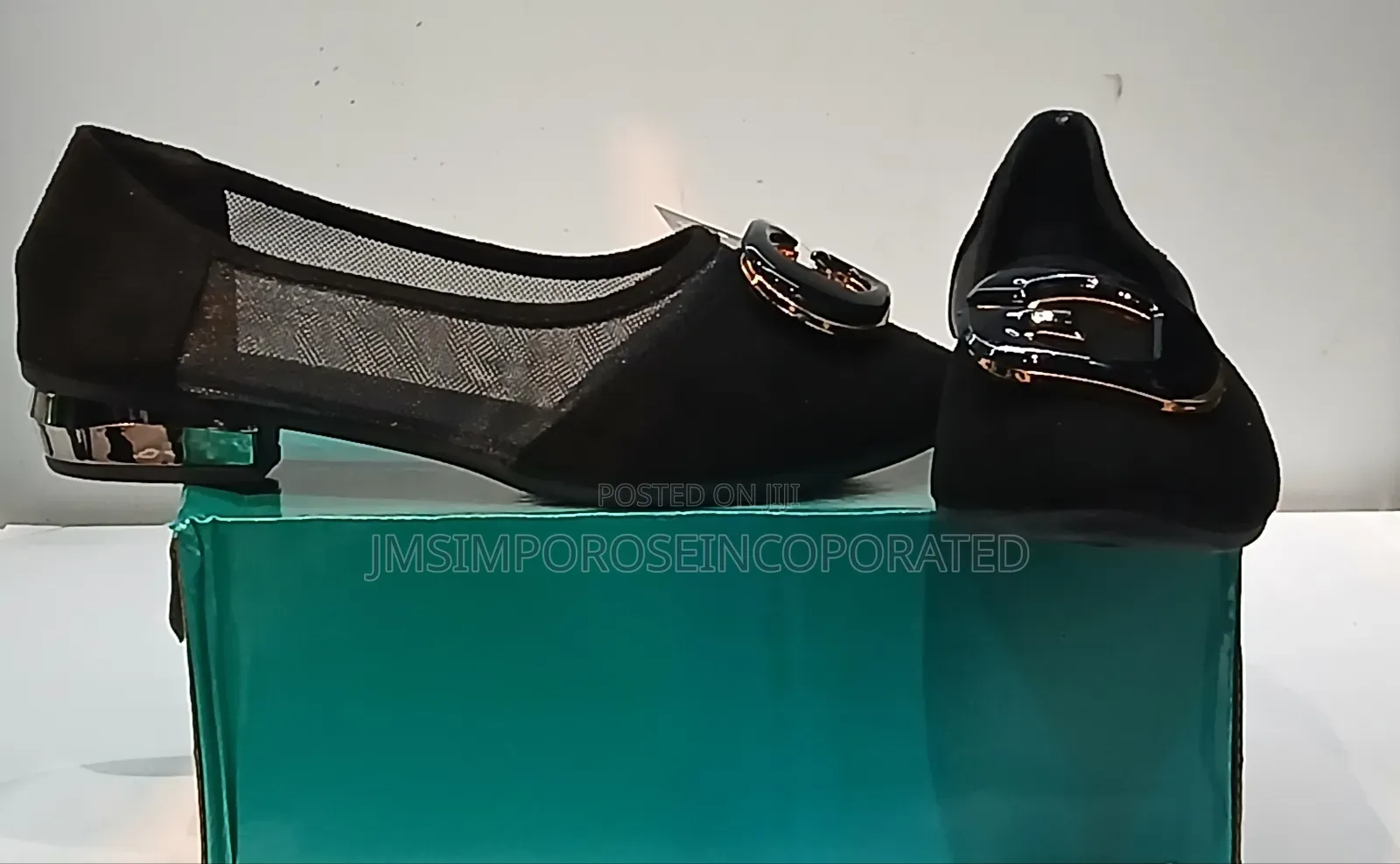 Black Mesh Ballet Shoe