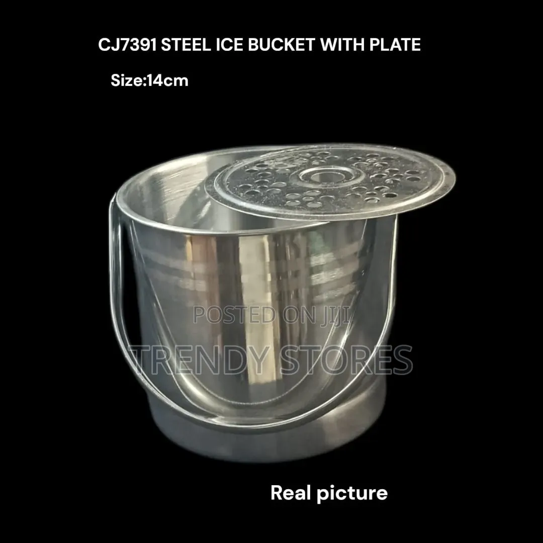 Stainless Steel Ice Bucket
