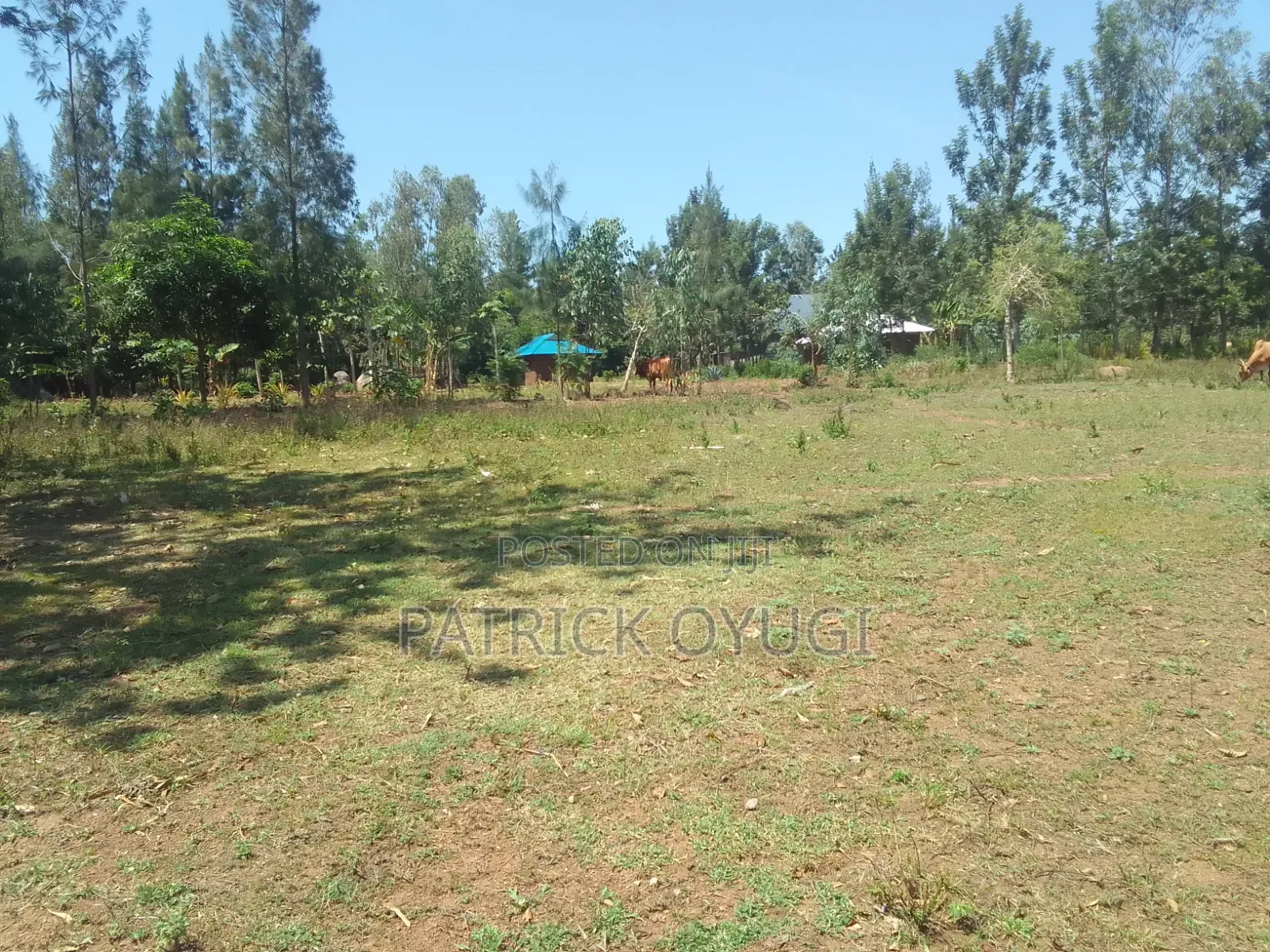 1/4 Acre at Seme Kitmikayi for Sale
