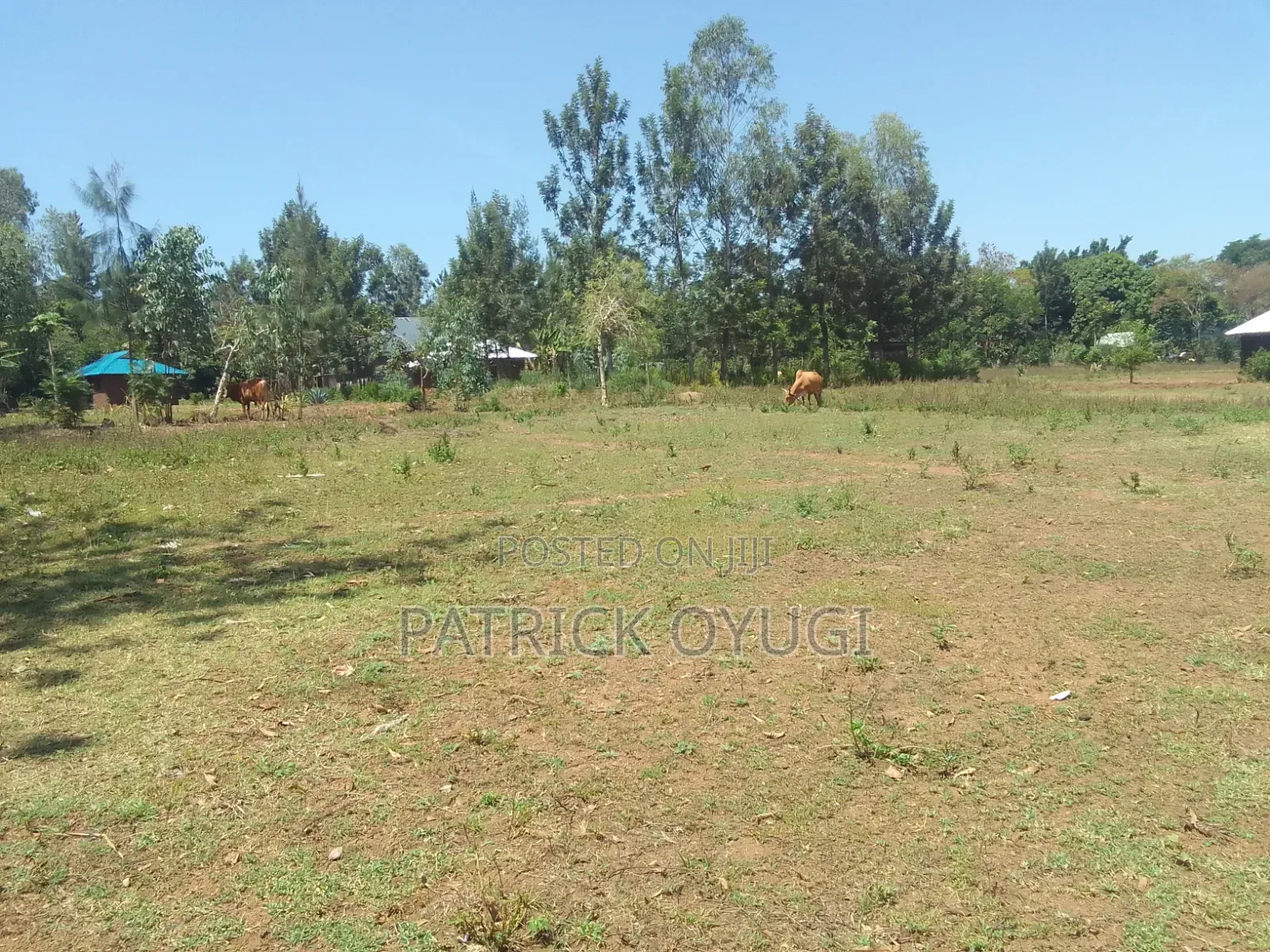 1/4 Acre at Seme Kitmikayi for Sale