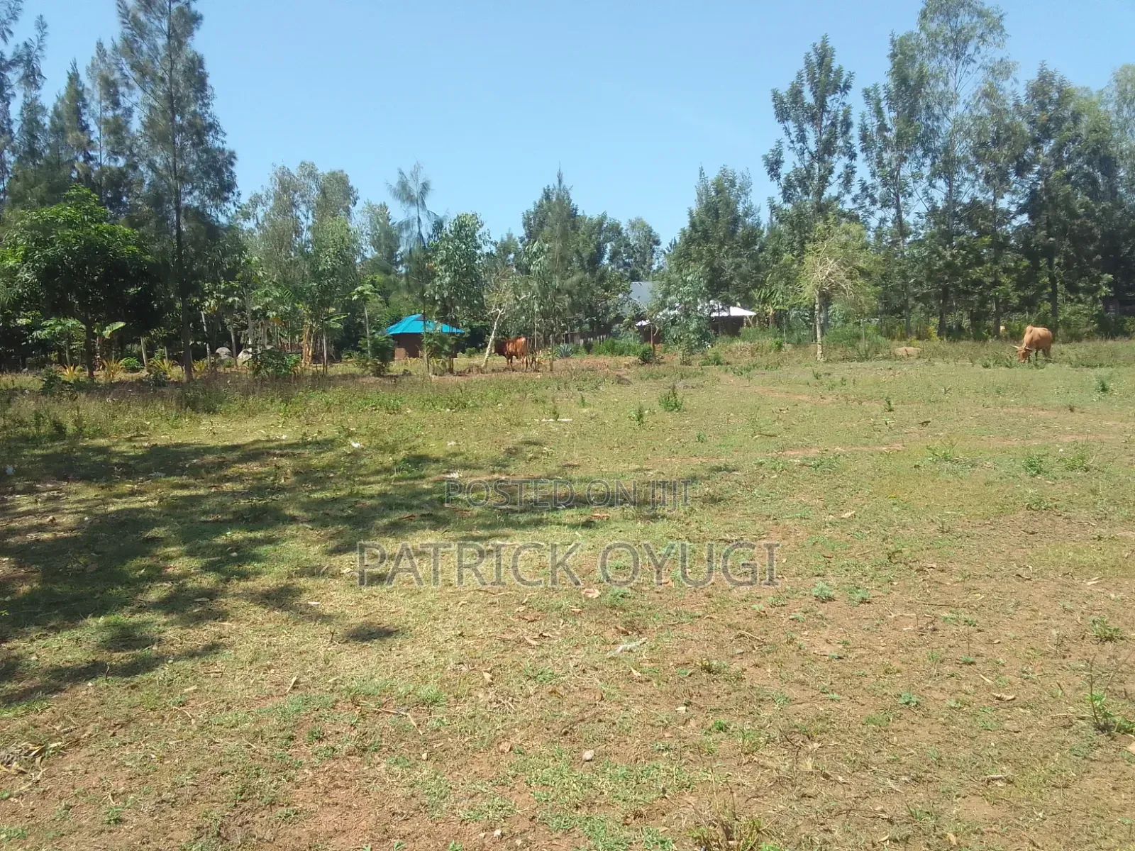 1/4 Acre at Seme Kitmikayi for Sale