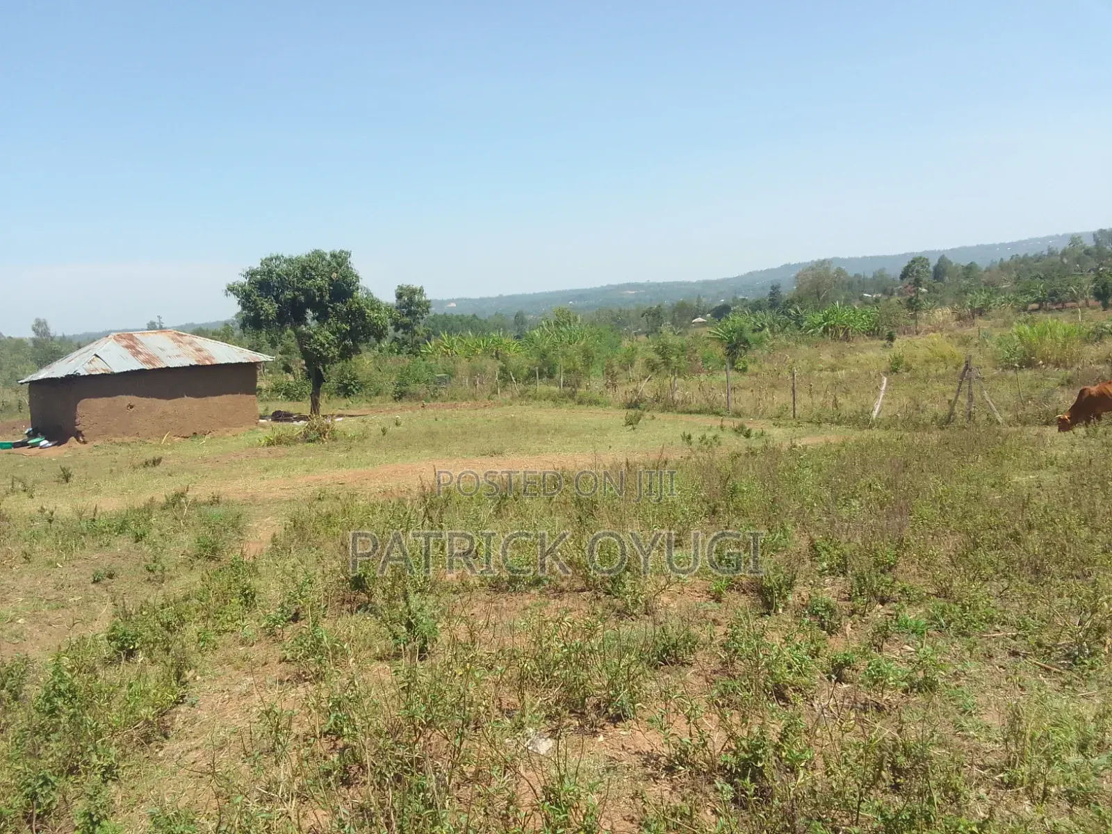 1/4 Acre at Seme Kitmikayi for Sale