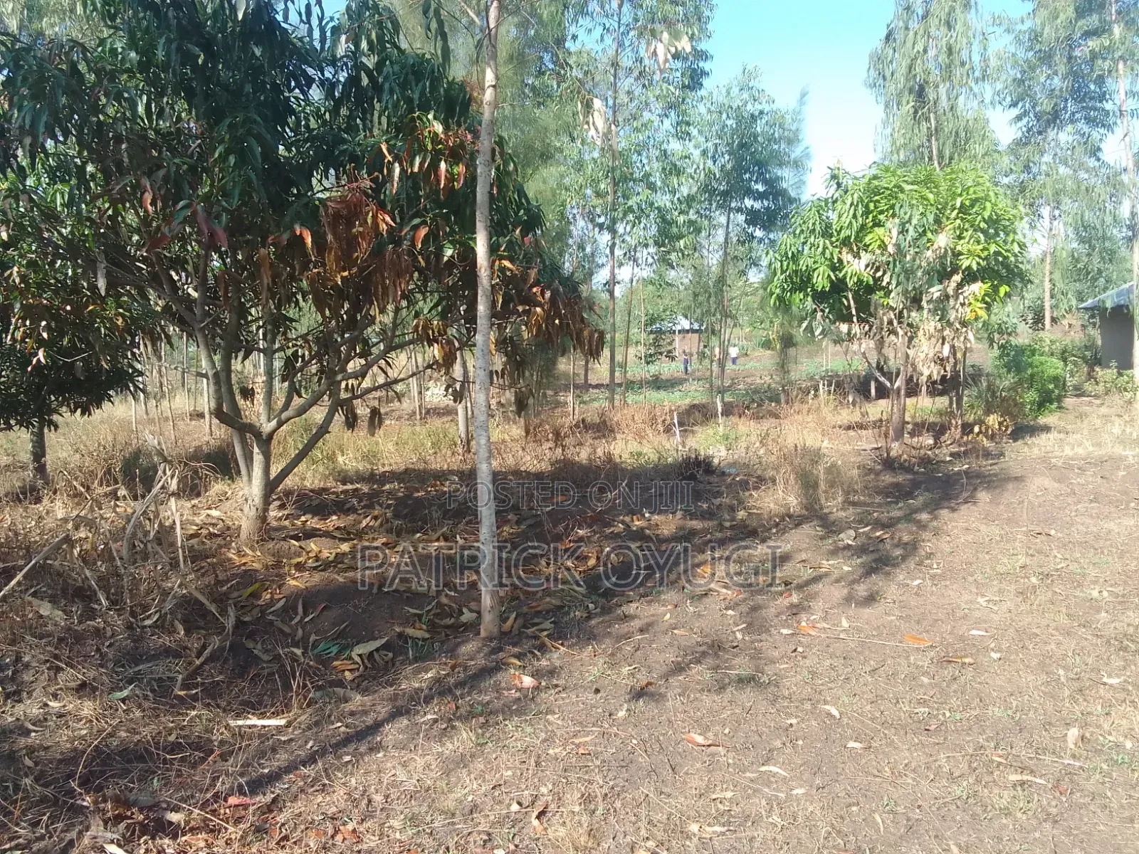 1/2 Cre for Sale at Kisumu Kadongo Near Holo Market
