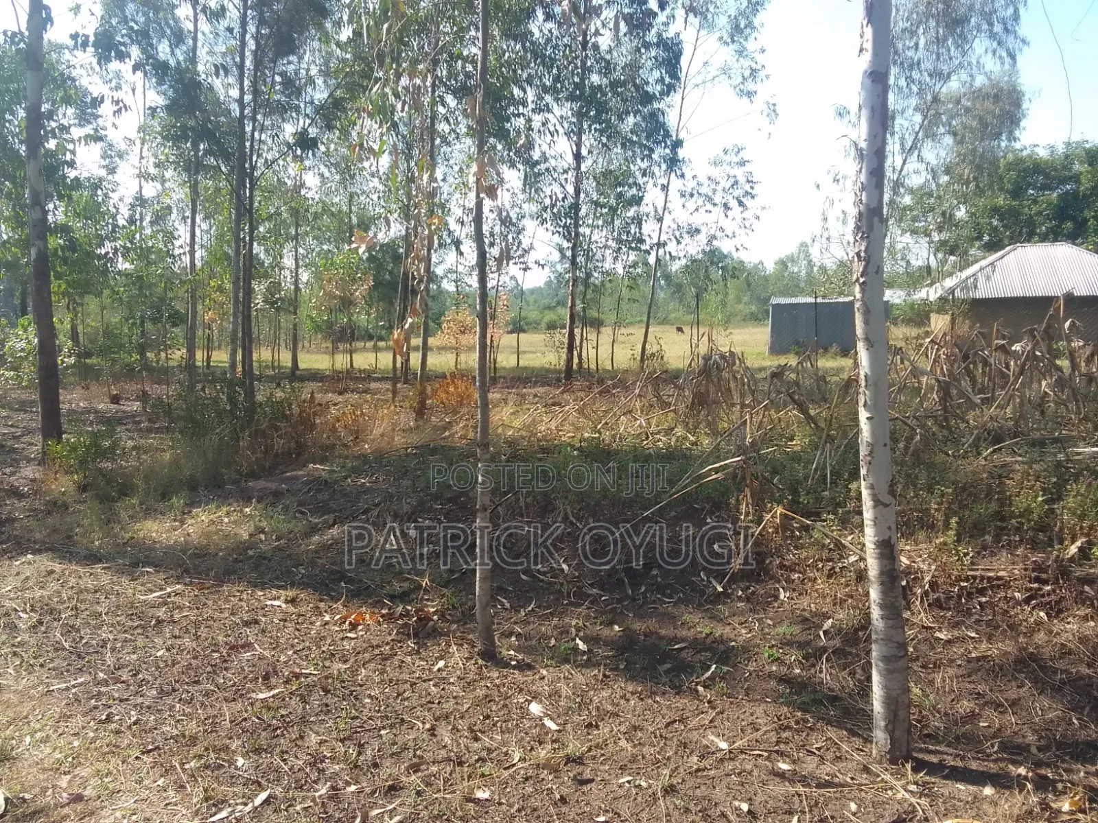 1/2 Cre for Sale at Kisumu Kadongo Near Holo Market