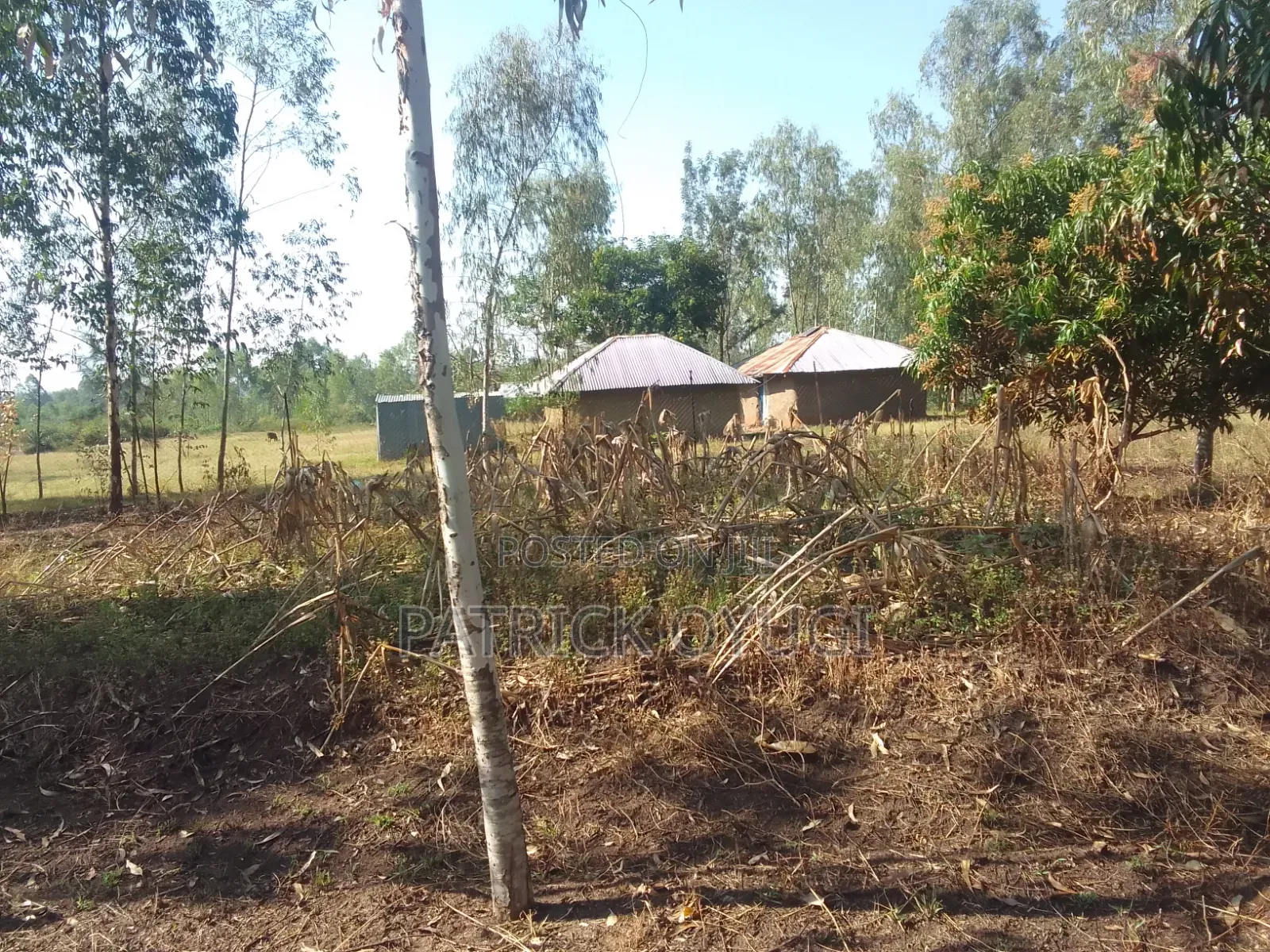 1/2 Cre for Sale at Kisumu Kadongo Near Holo Market