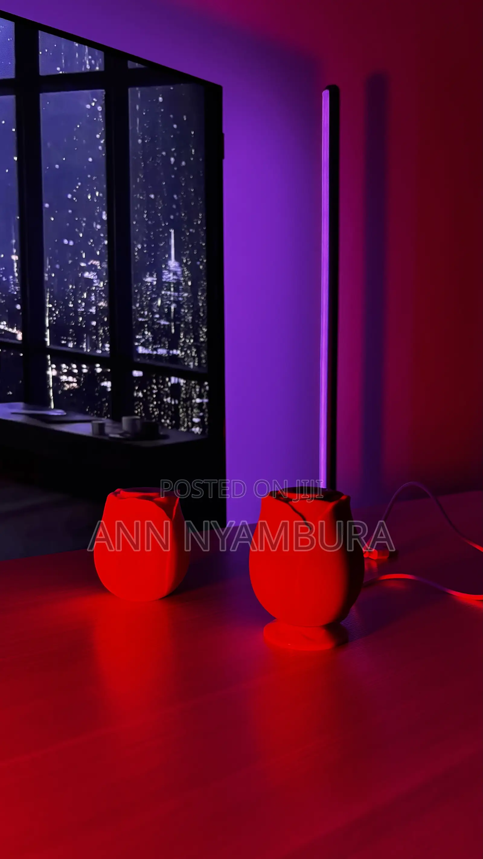 The Rose Toy Vibrator and Nipple Sucker🌹