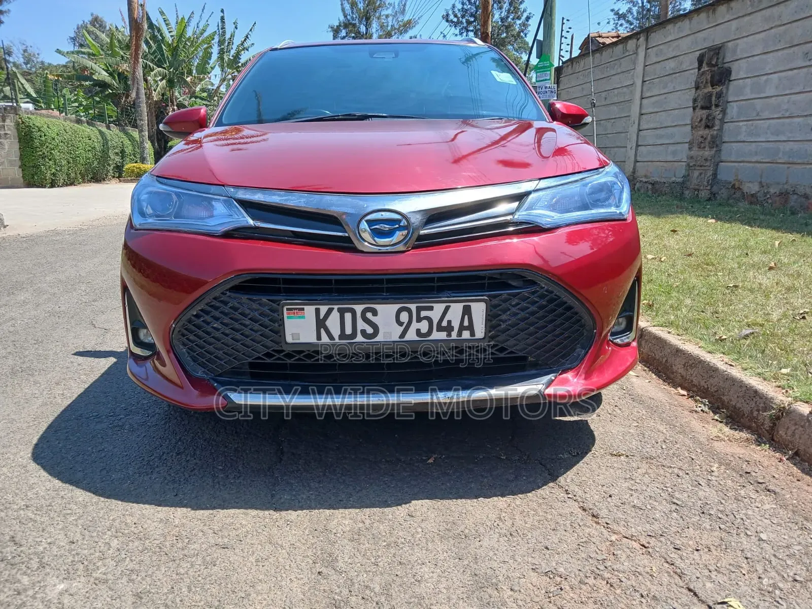 Toyota Corolla Fielder 2019 Red