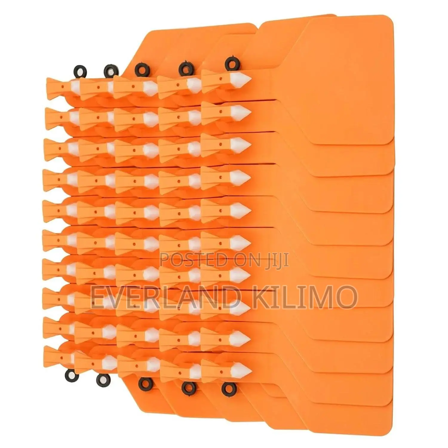 Weaned Calf Z- Tag - Plain