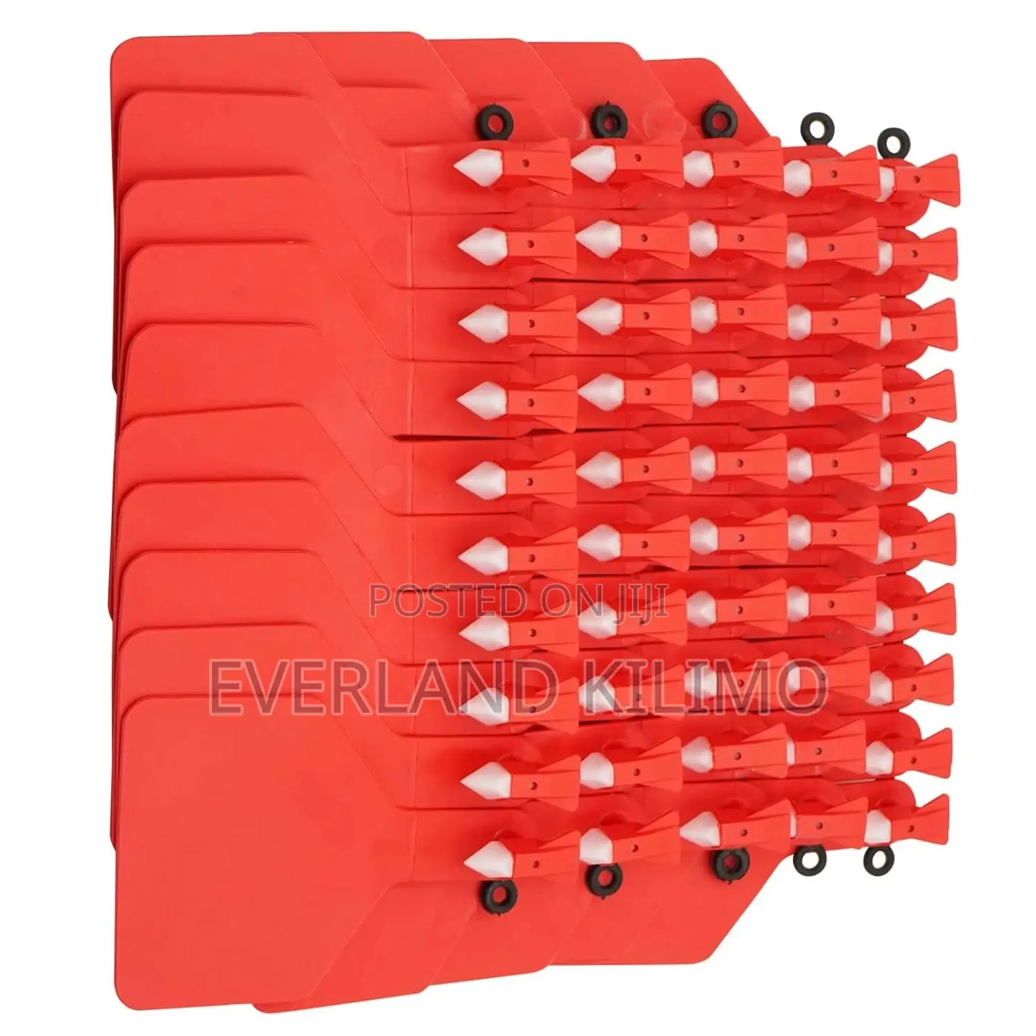 Stock Cattle Ear Z-Tag for Identification