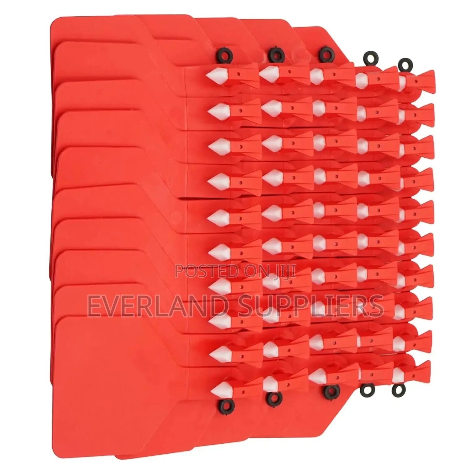 Stock Cattle Ear Z-Tag for Identification