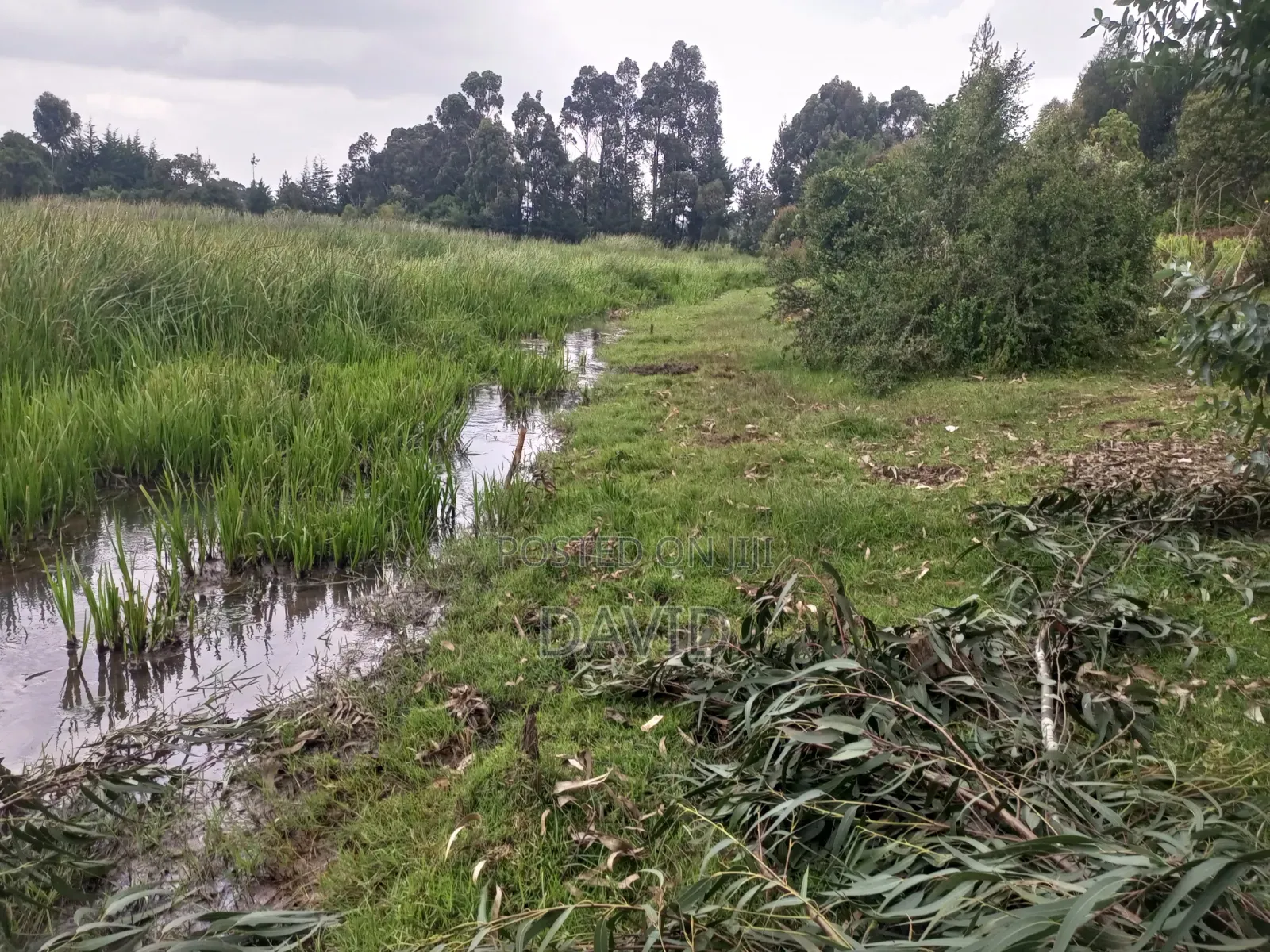Land for Sale in Dundori