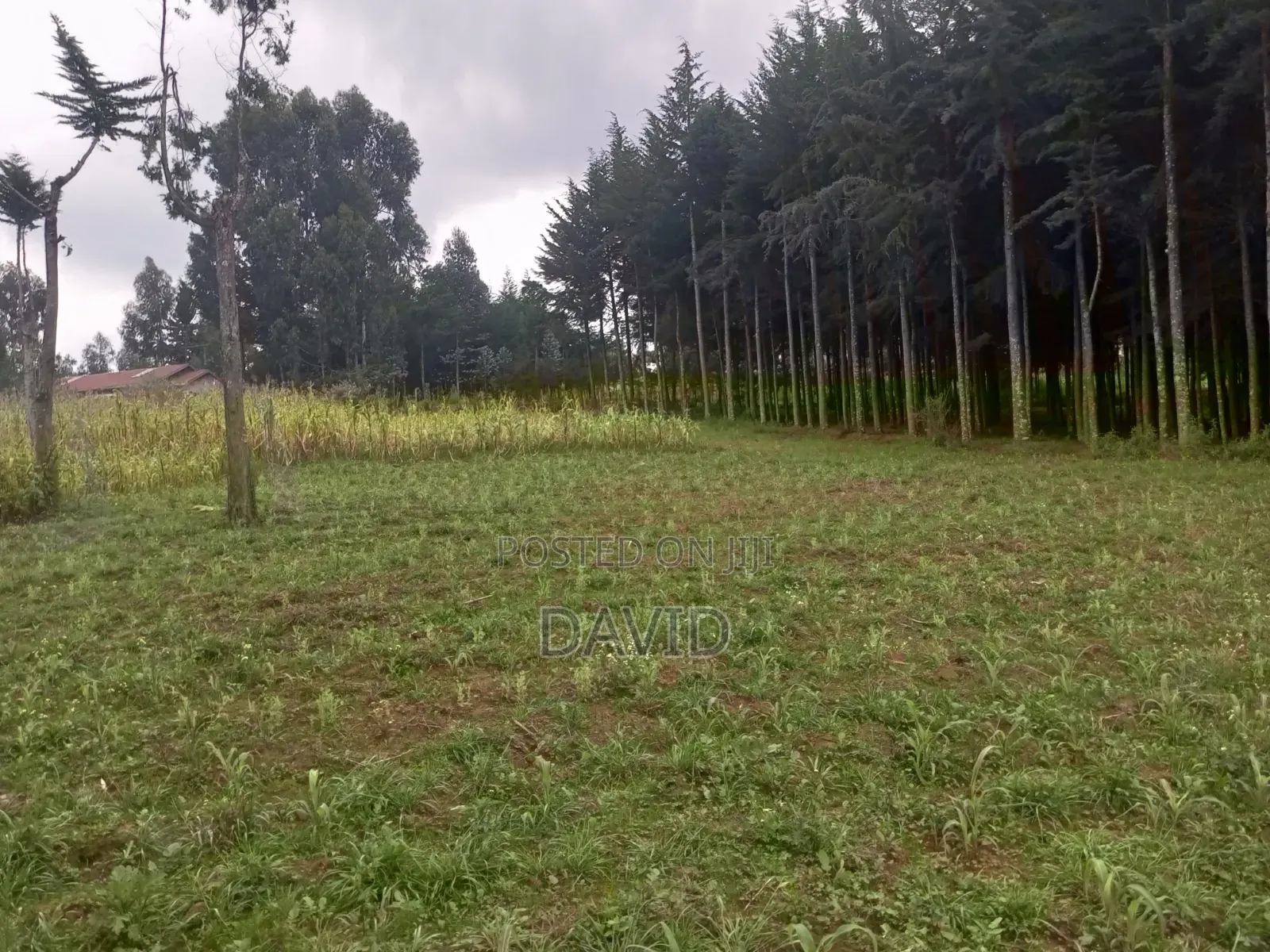 Land for Sale in Dundori