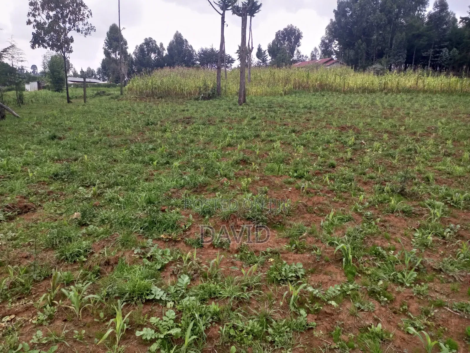 Land for Sale in Dundori